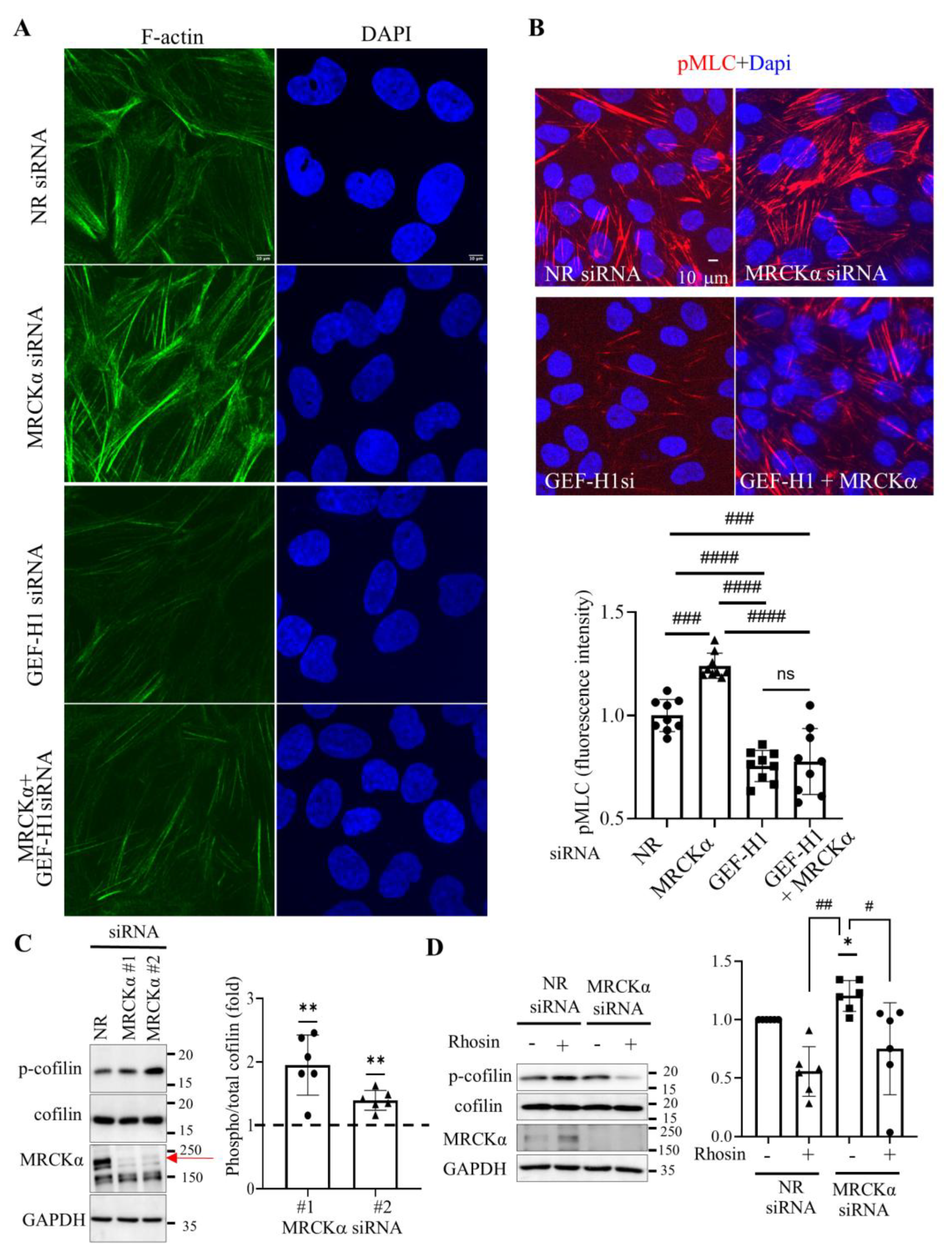 Preprints 189484 g003