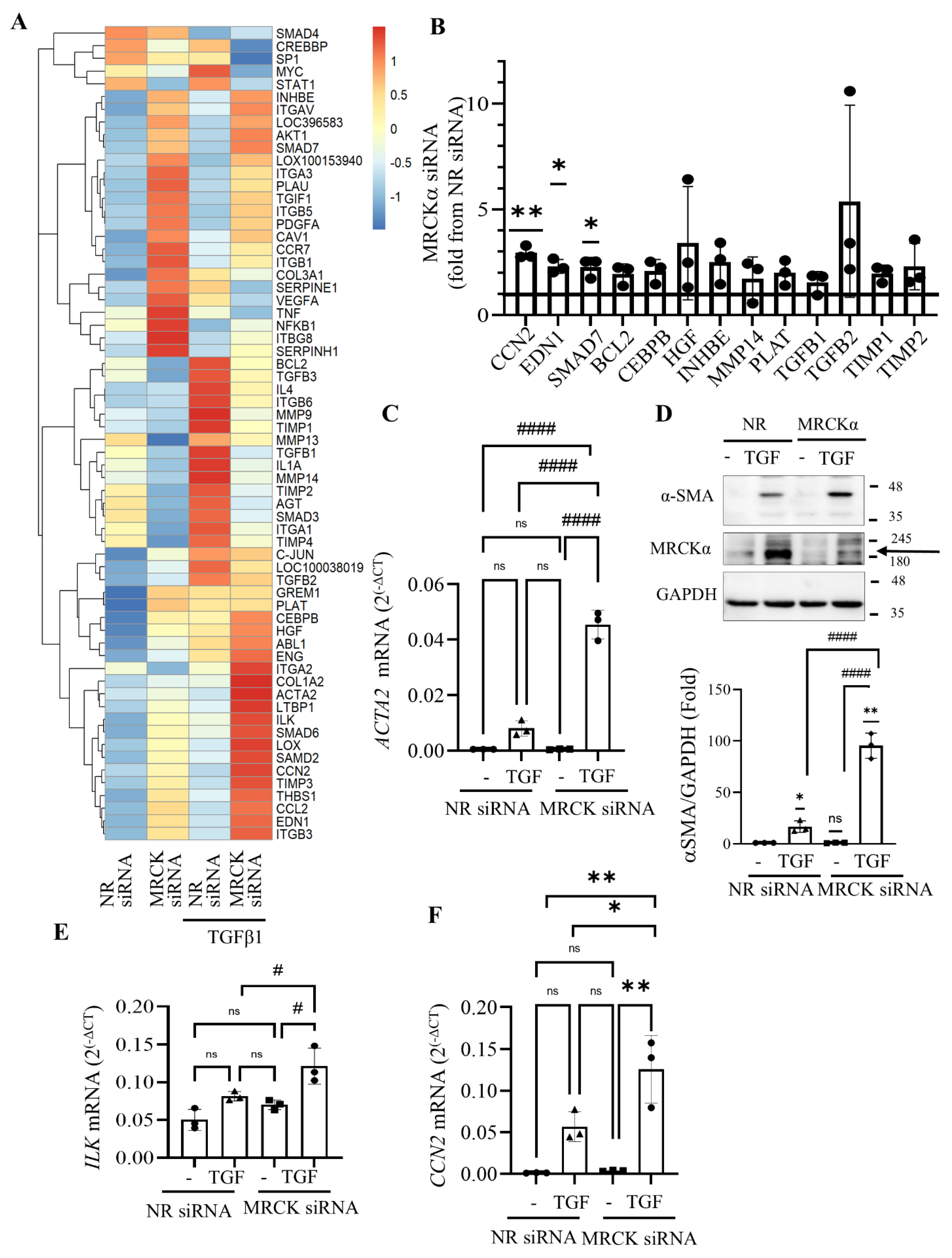 Preprints 189484 g005