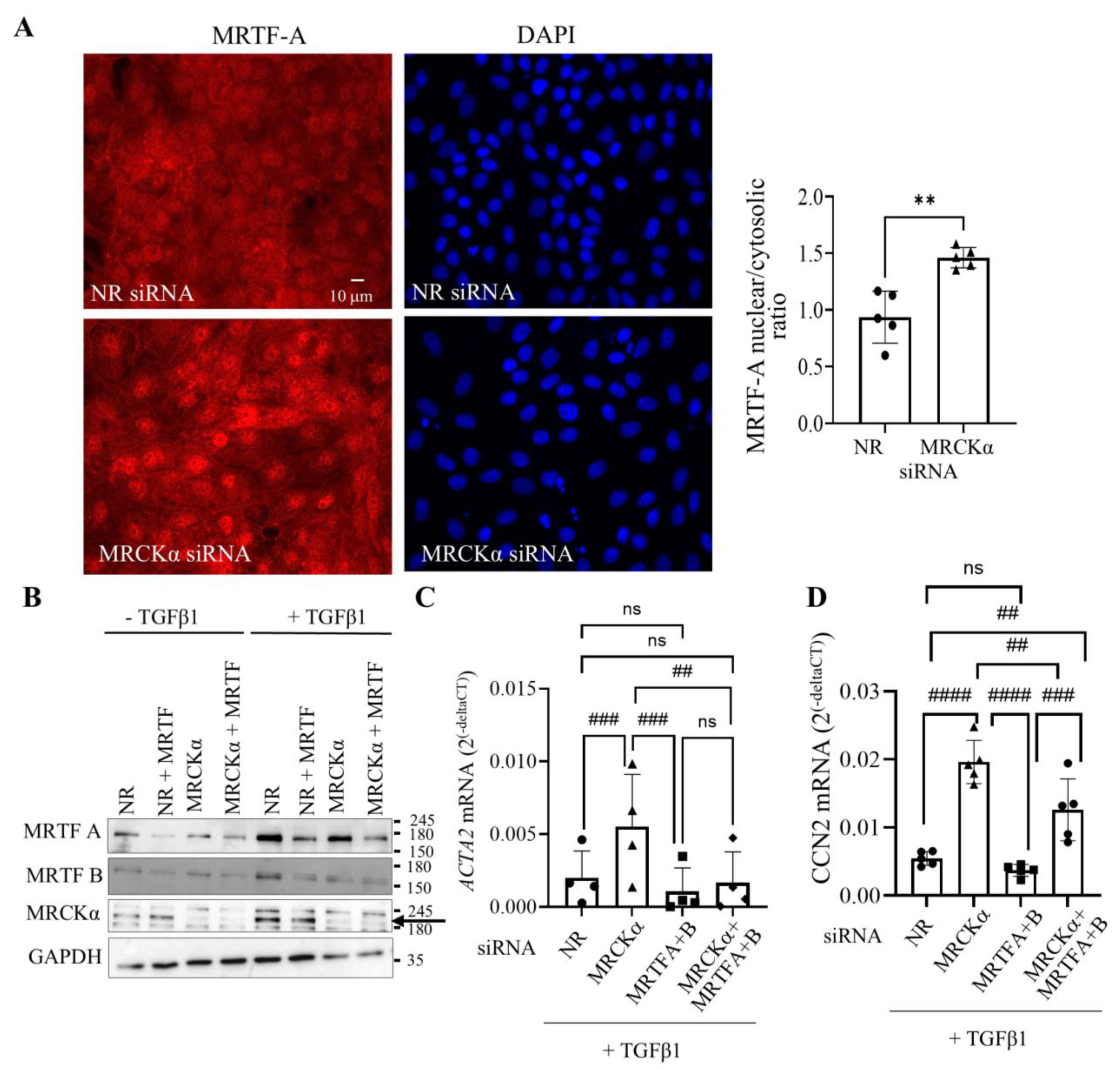 Preprints 189484 g006
