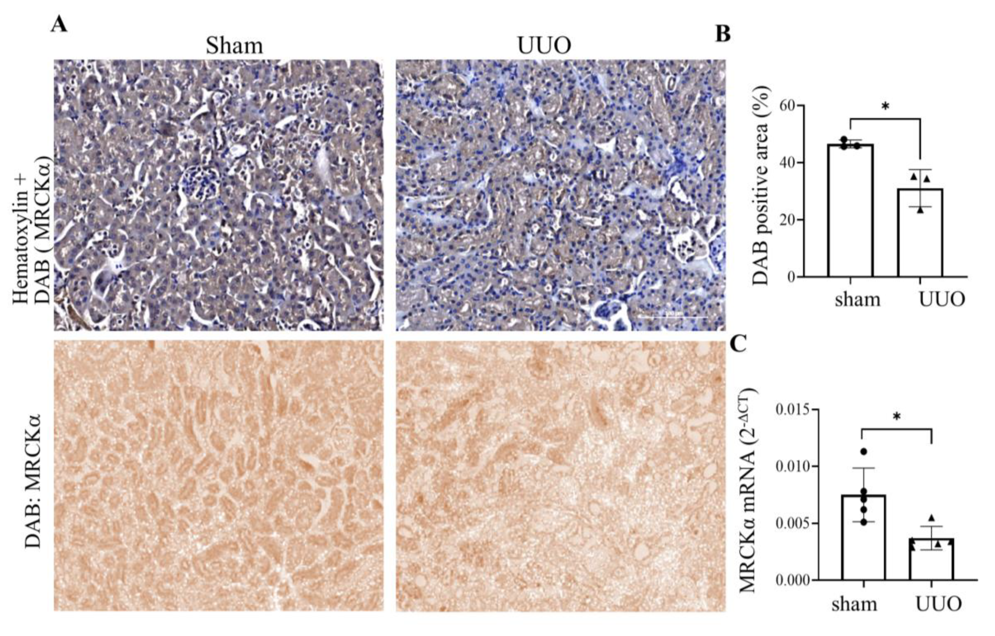 Preprints 189484 g007