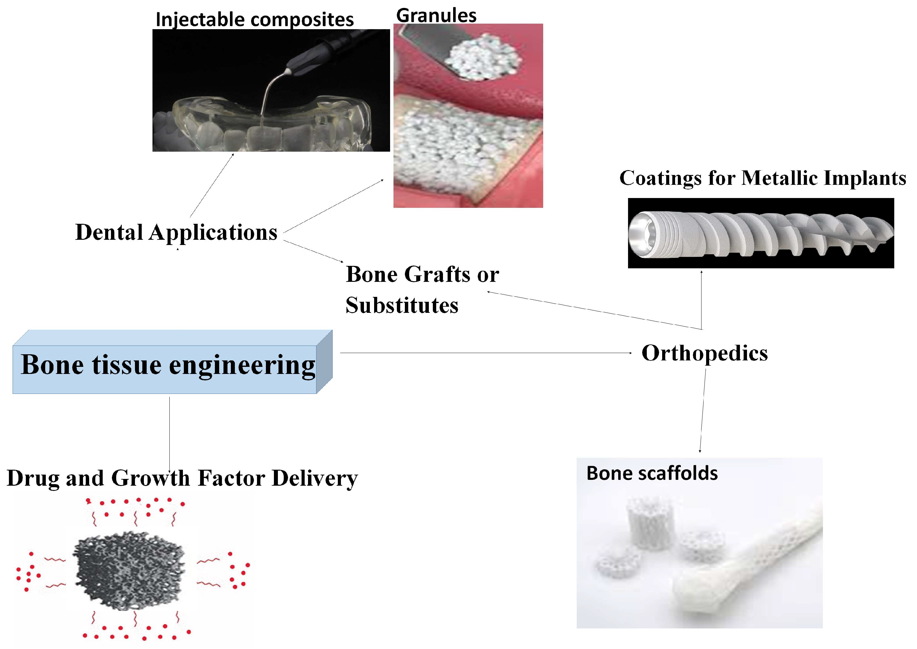 Preprints 154819 g006