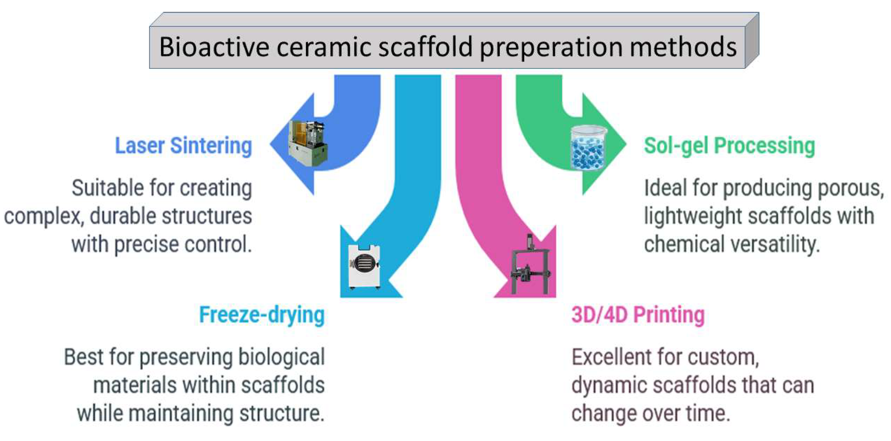 Preprints 154819 g007