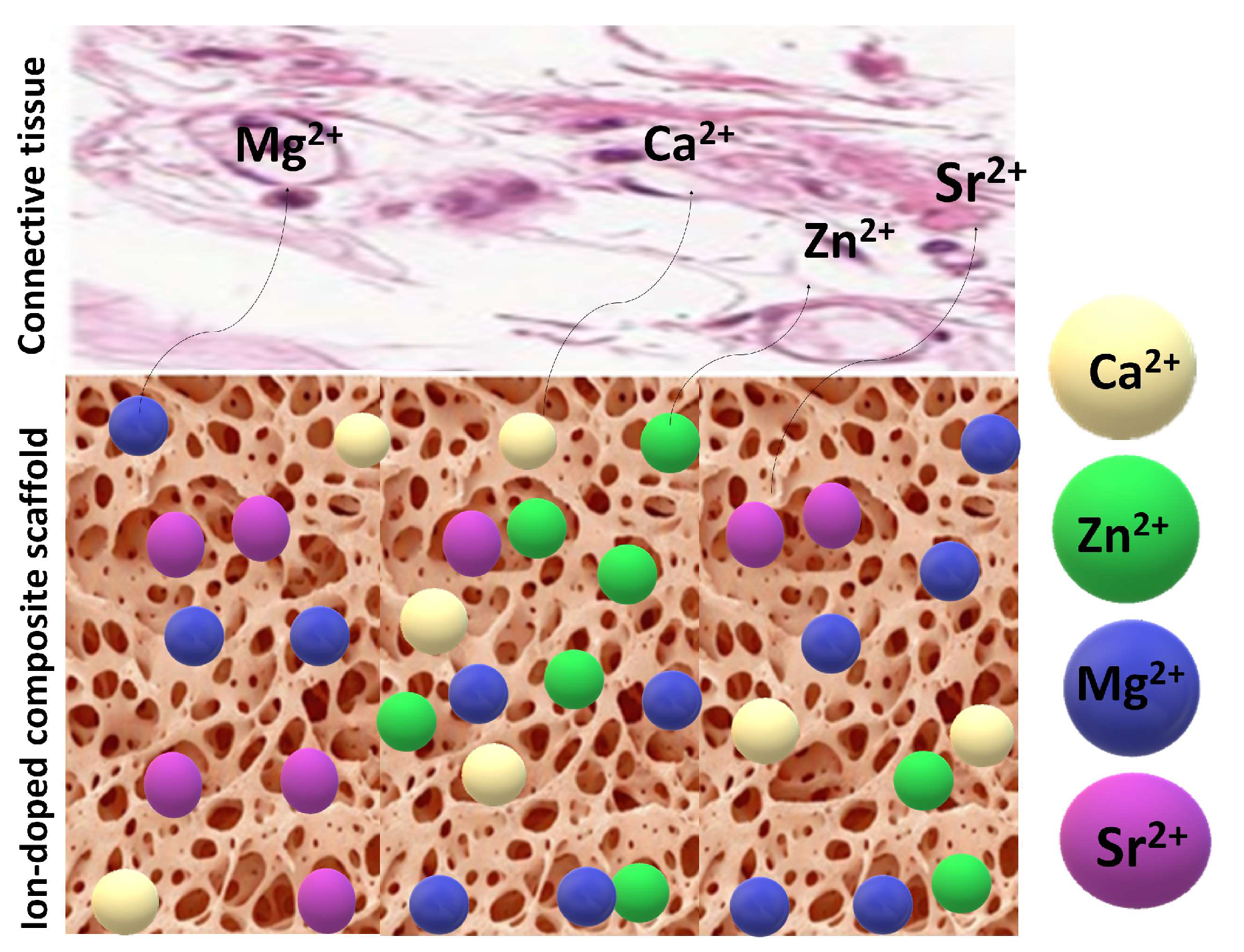 Preprints 154819 g011
