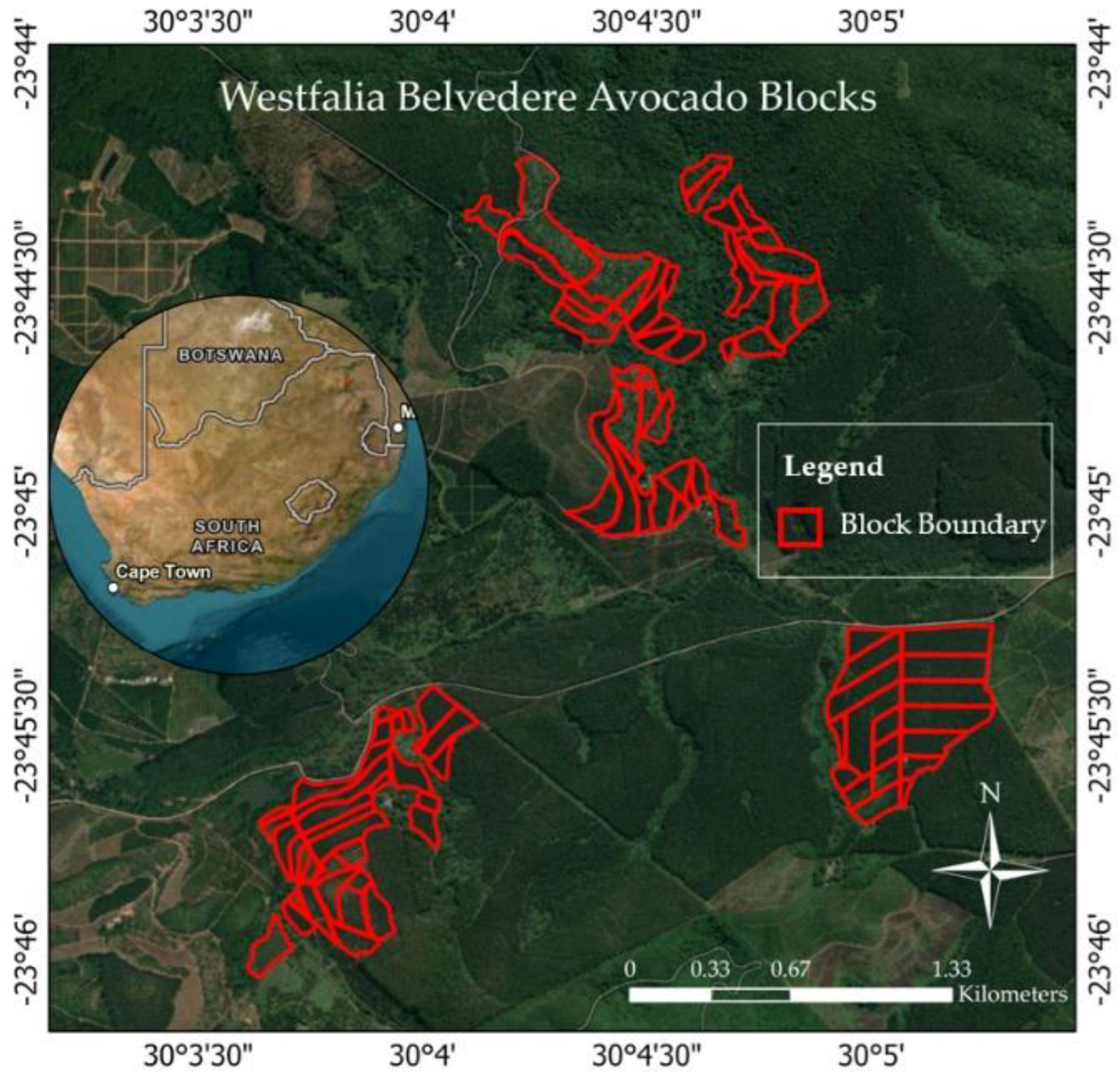 Preprints 182956 g001
