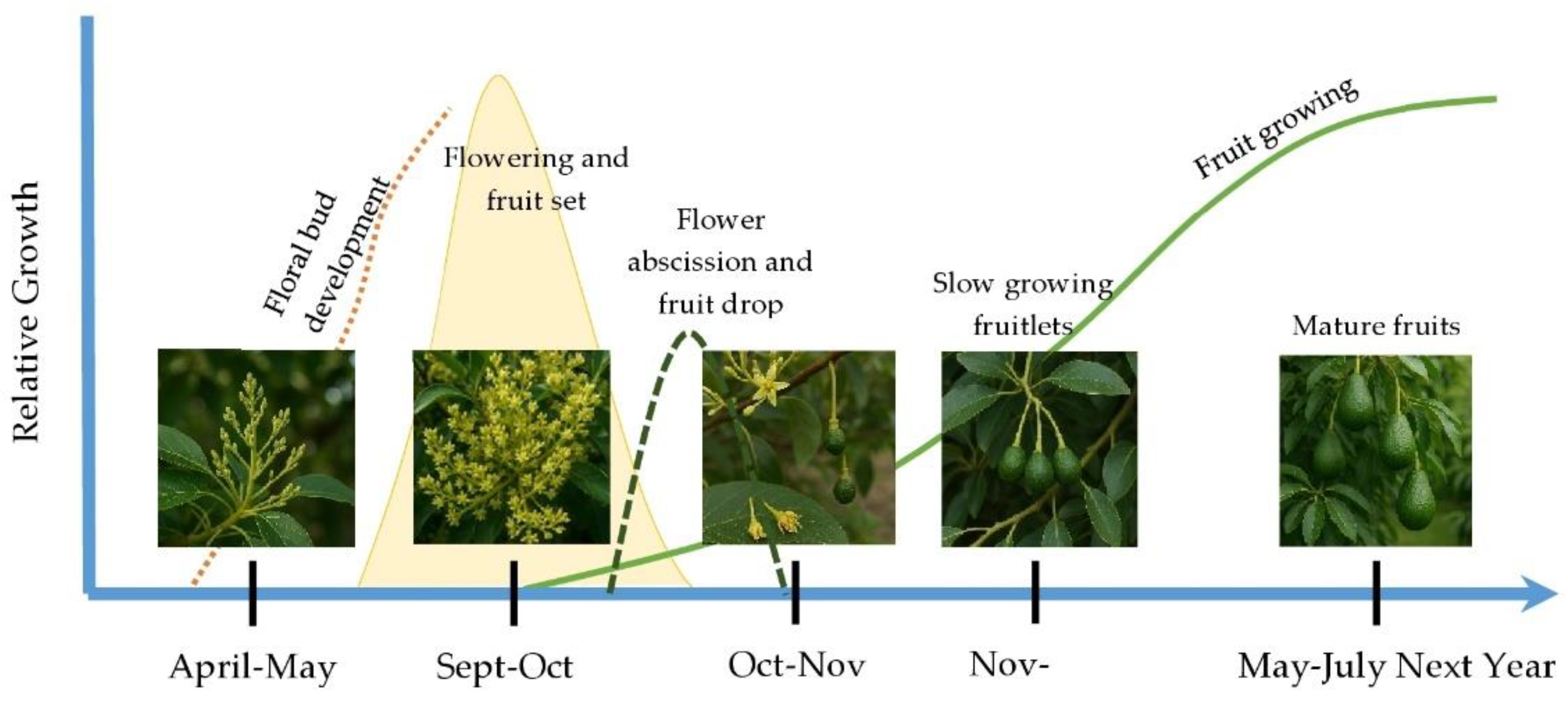 Preprints 182956 g003