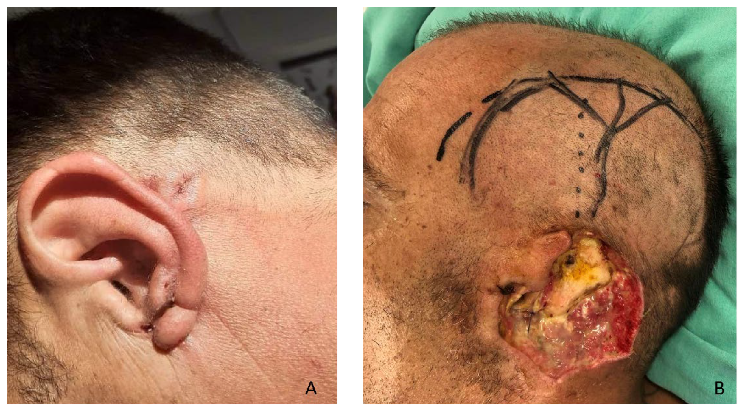 Preprints 190363 g001