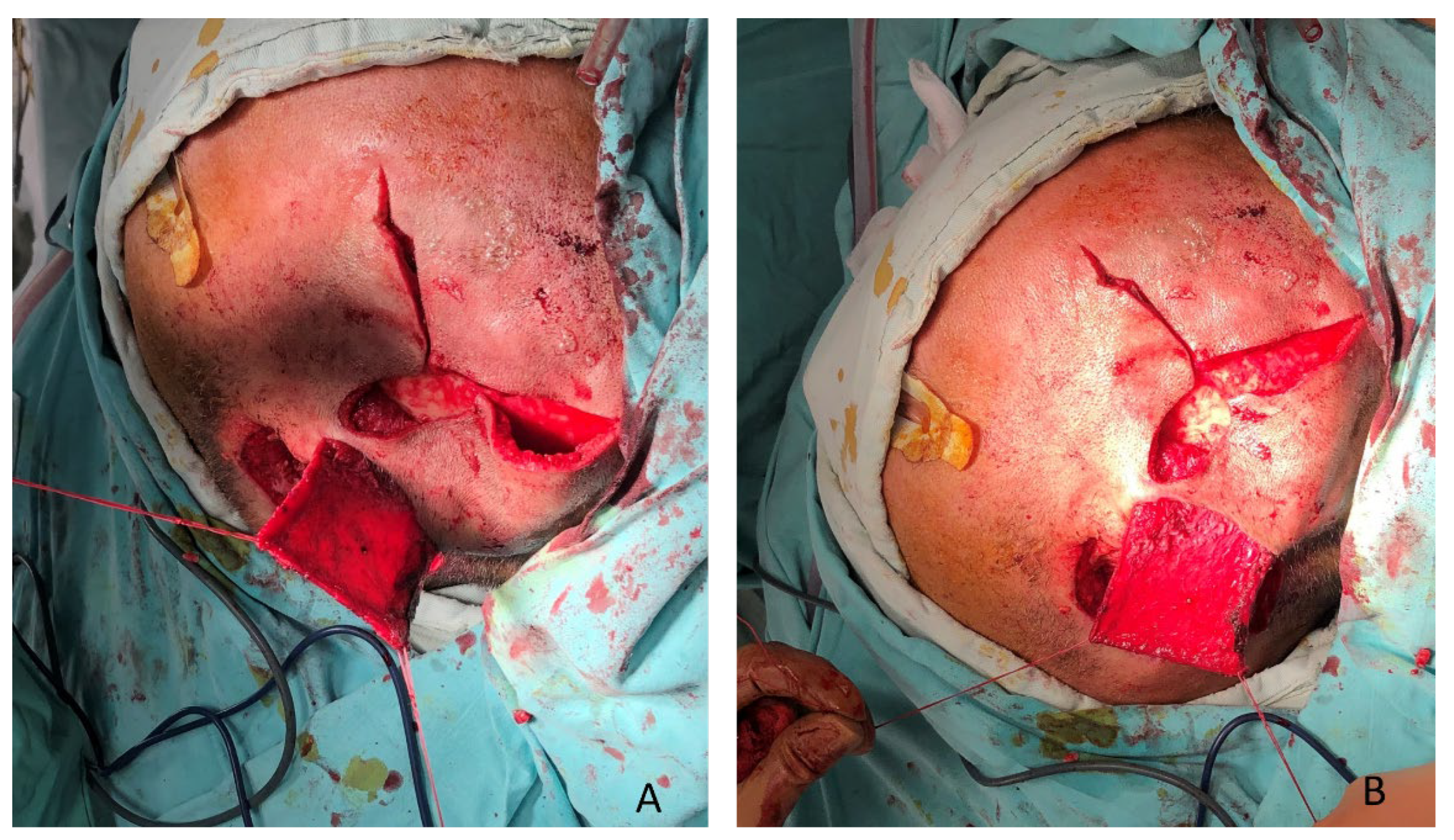 Preprints 190363 g002