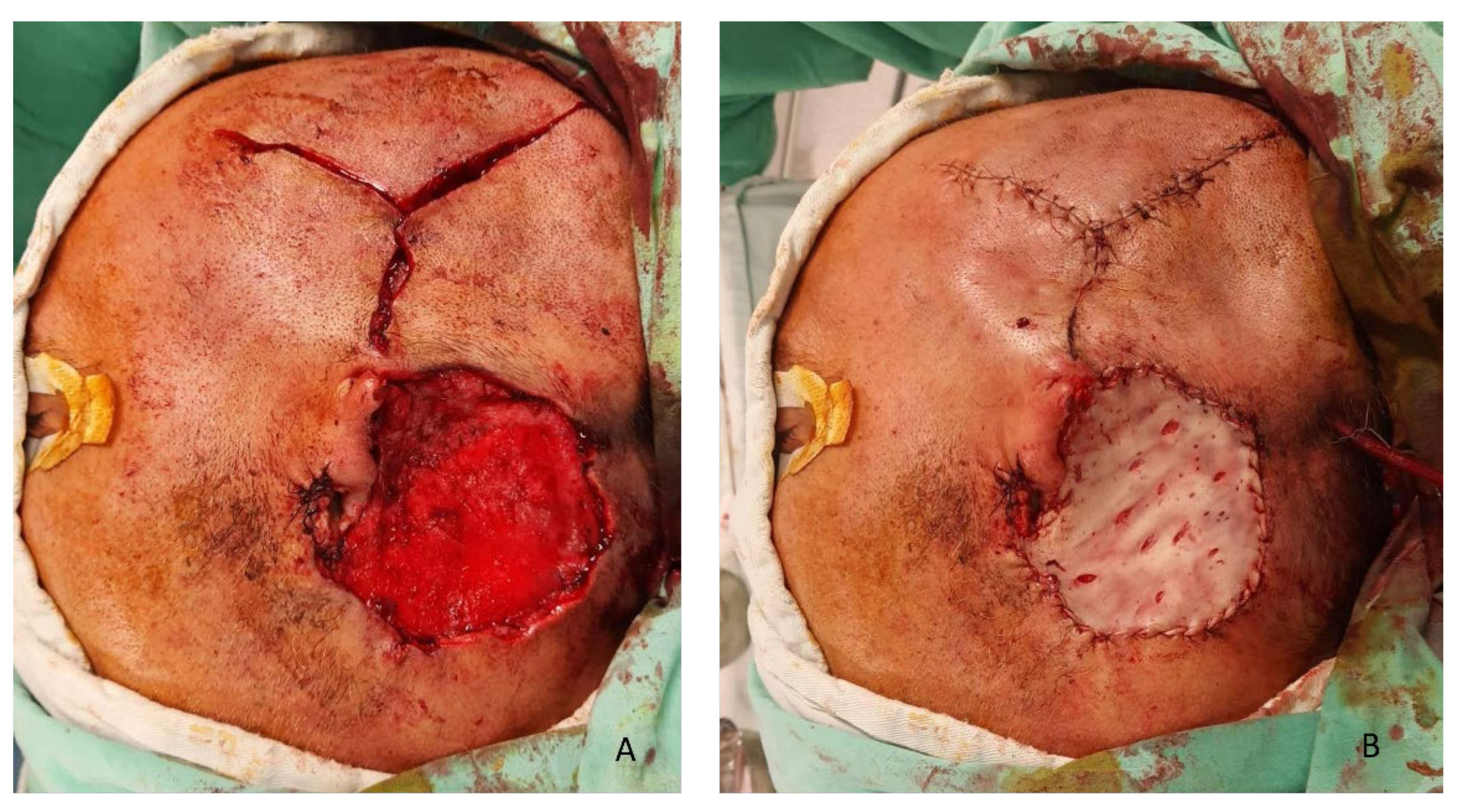 Preprints 190363 g003