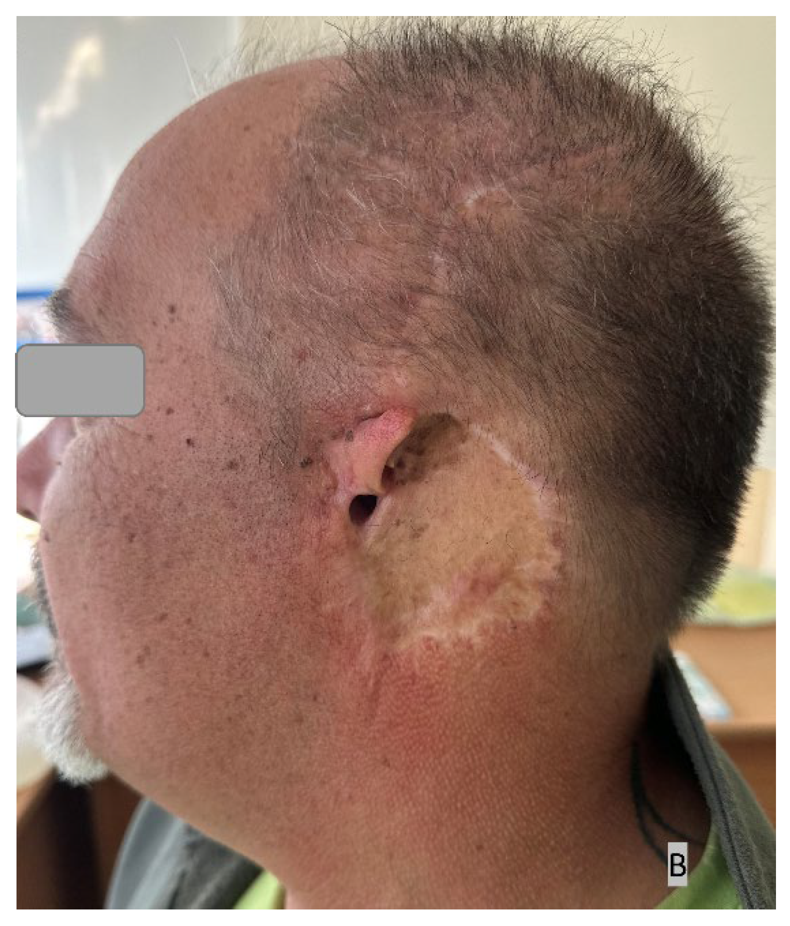 Preprints 190363 g004