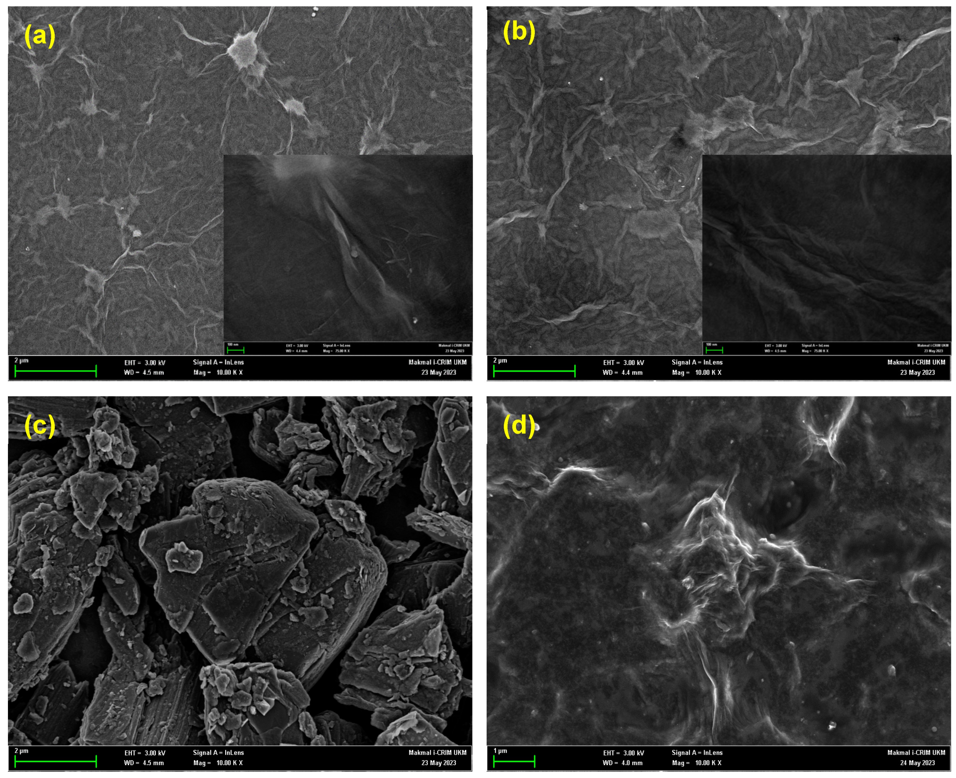 Preprints 153937 g004
