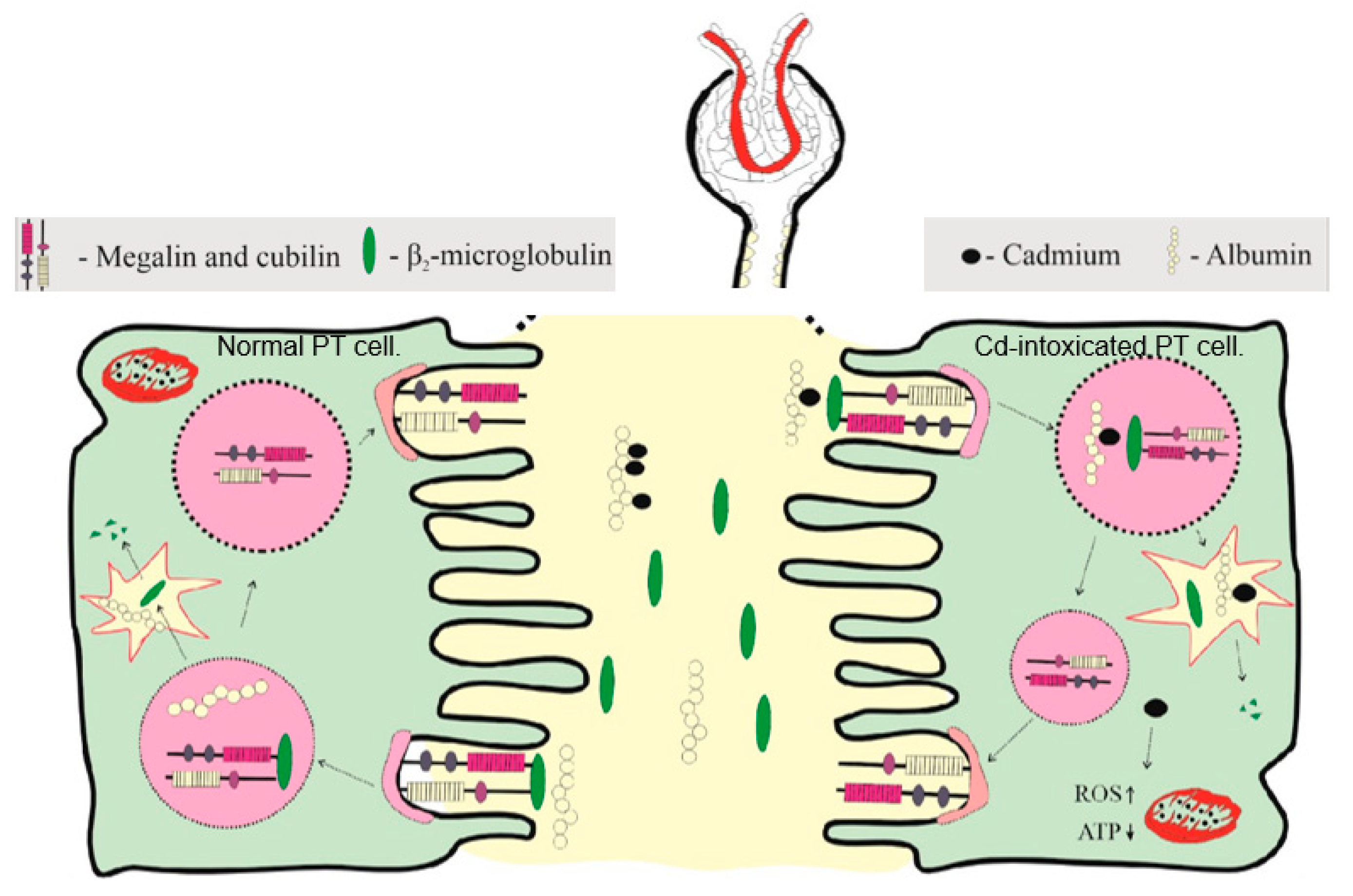 Preprints 165664 g001