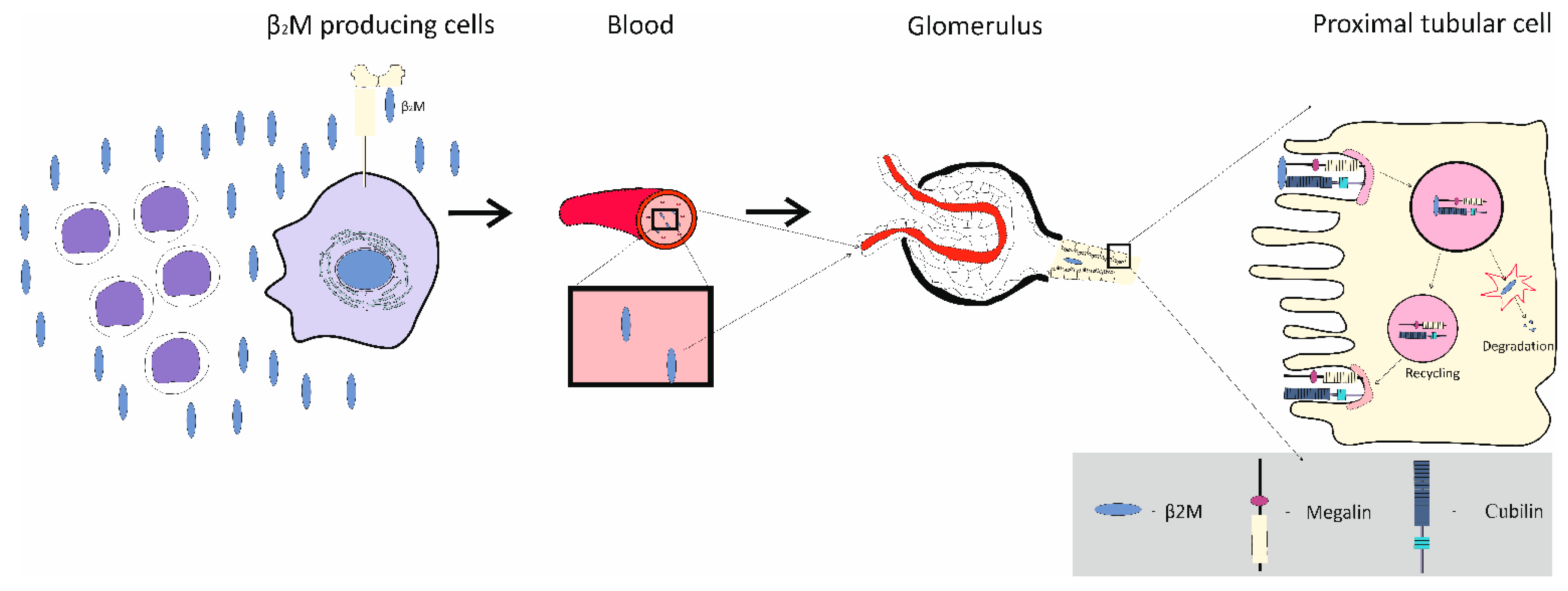 Preprints 165664 g004
