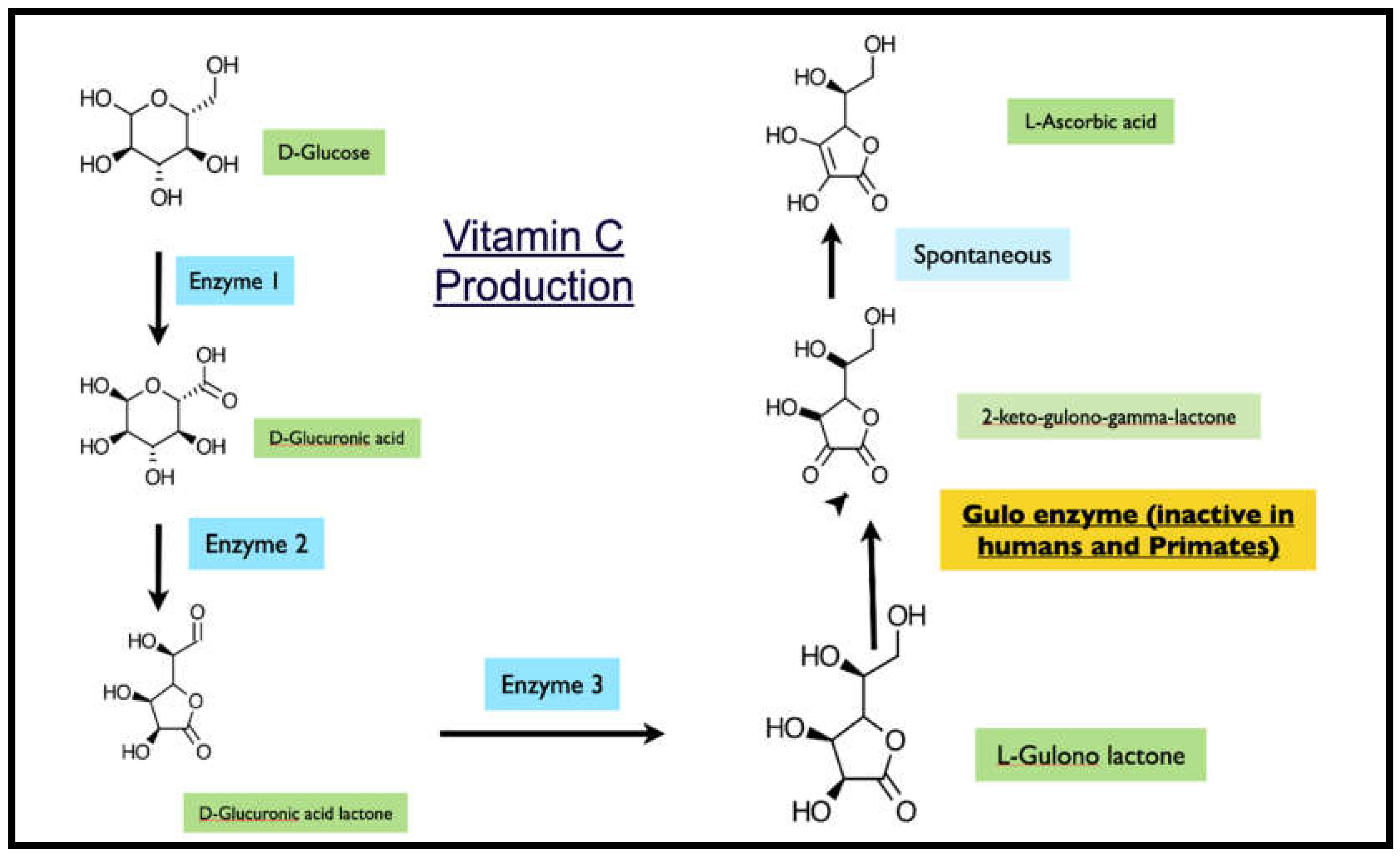 Preprints 173929 g001