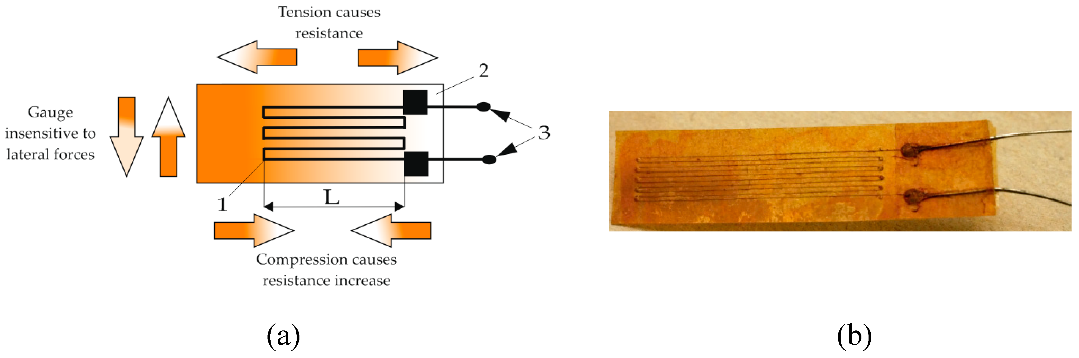 Preprints 138995 g002