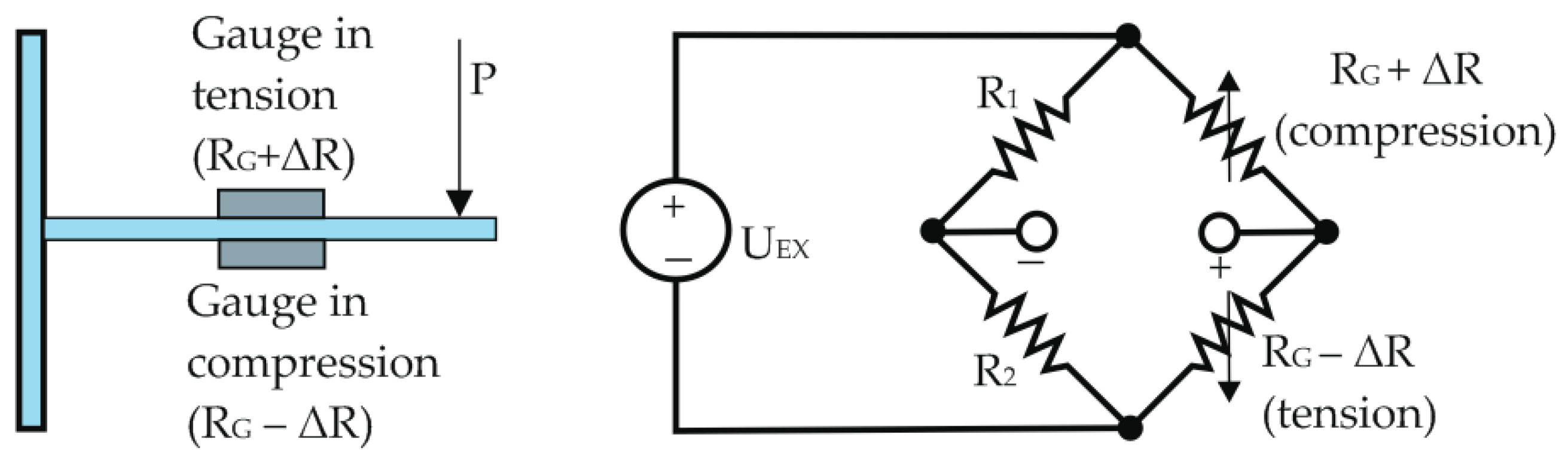 Preprints 138995 g010