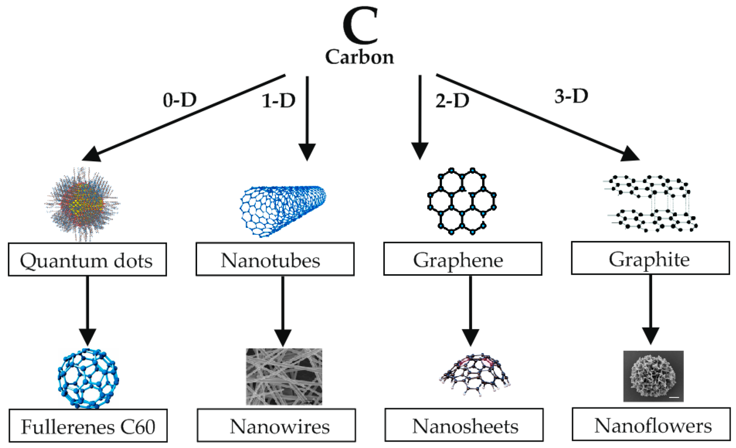 Preprints 138995 g013