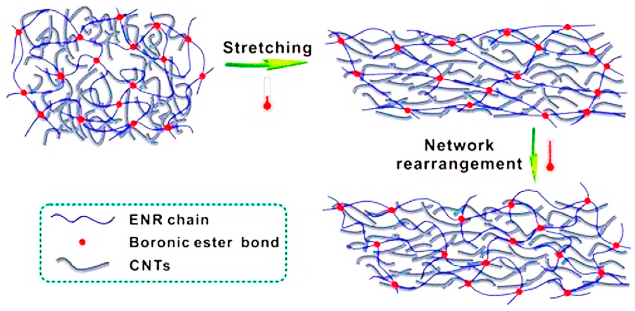 Preprints 138995 g015