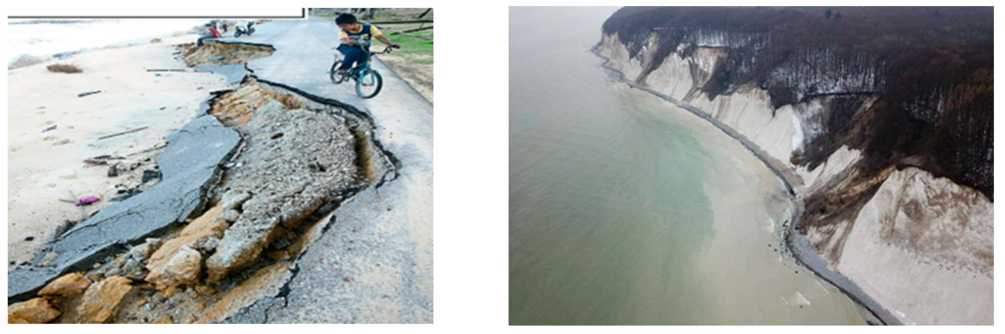 Preprints 82206 g008