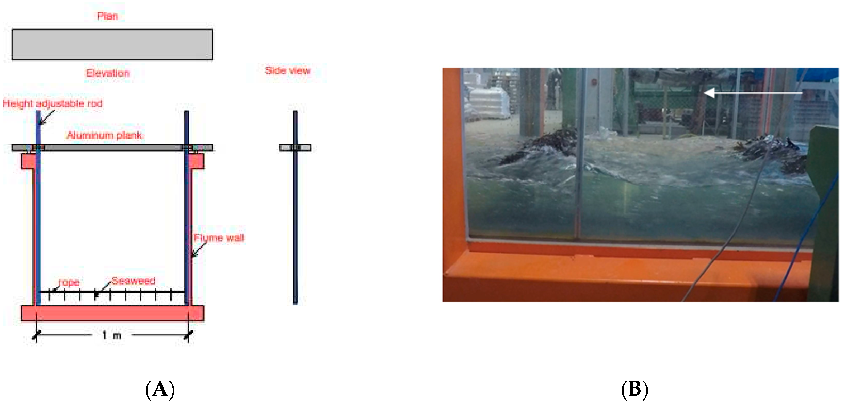 Preprints 82206 g011