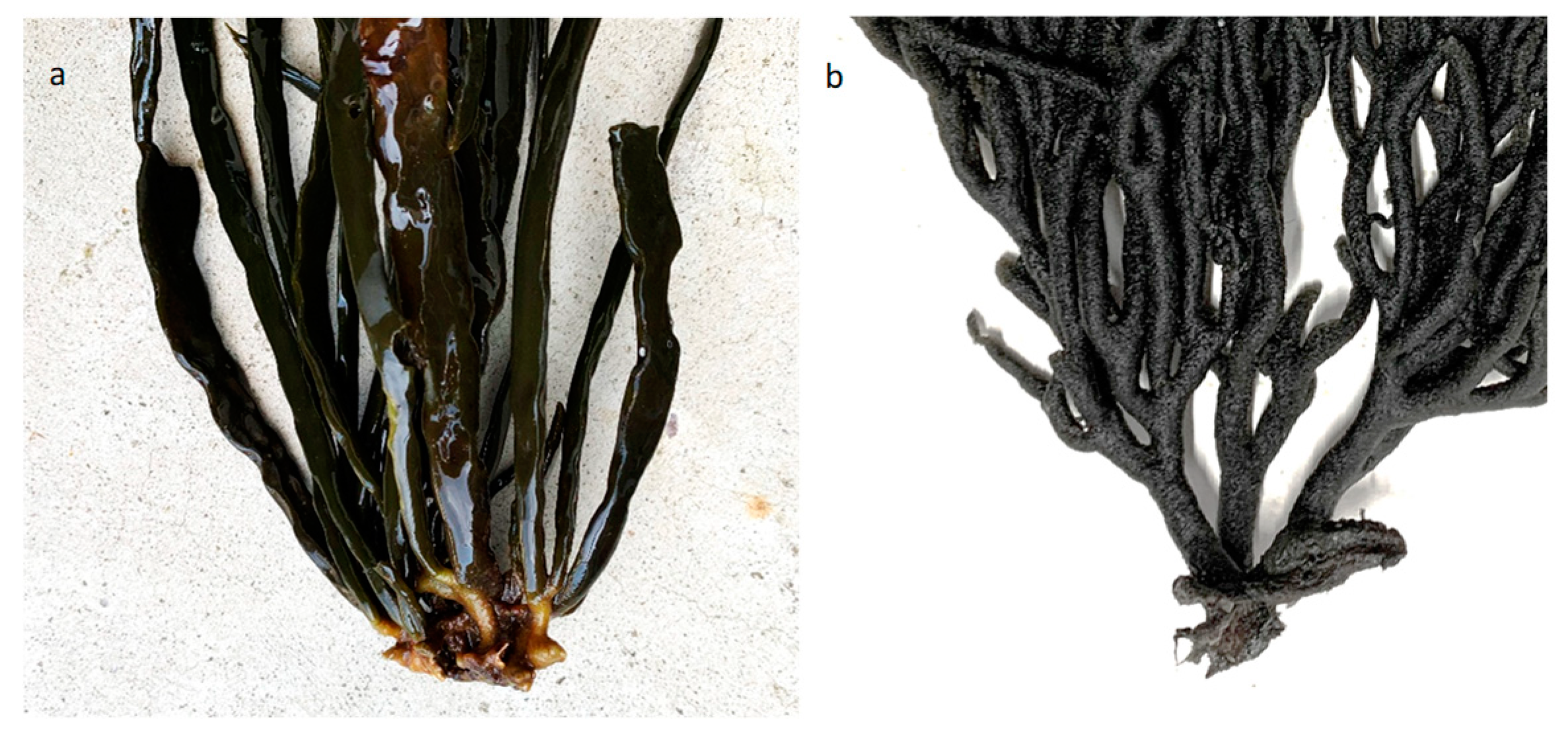 Preprints 82206 g012