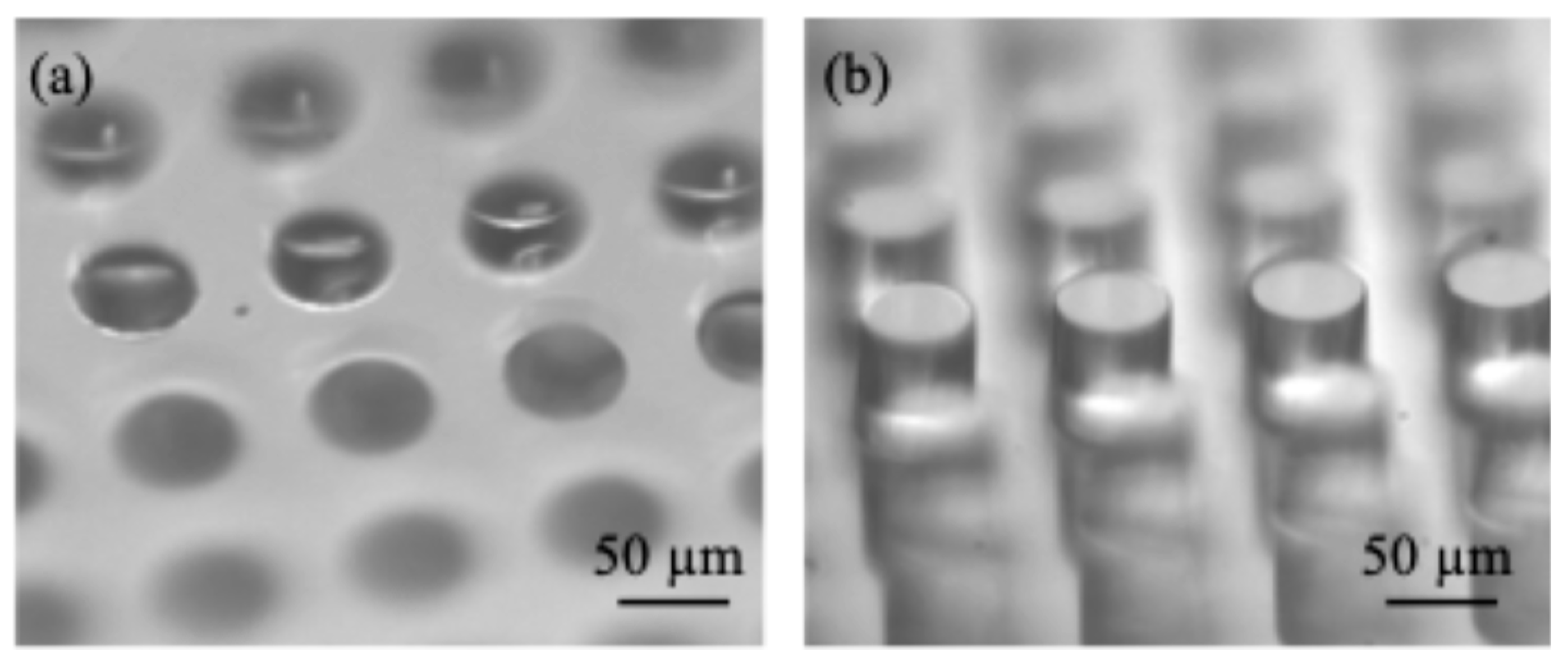 Preprints 142031 g001