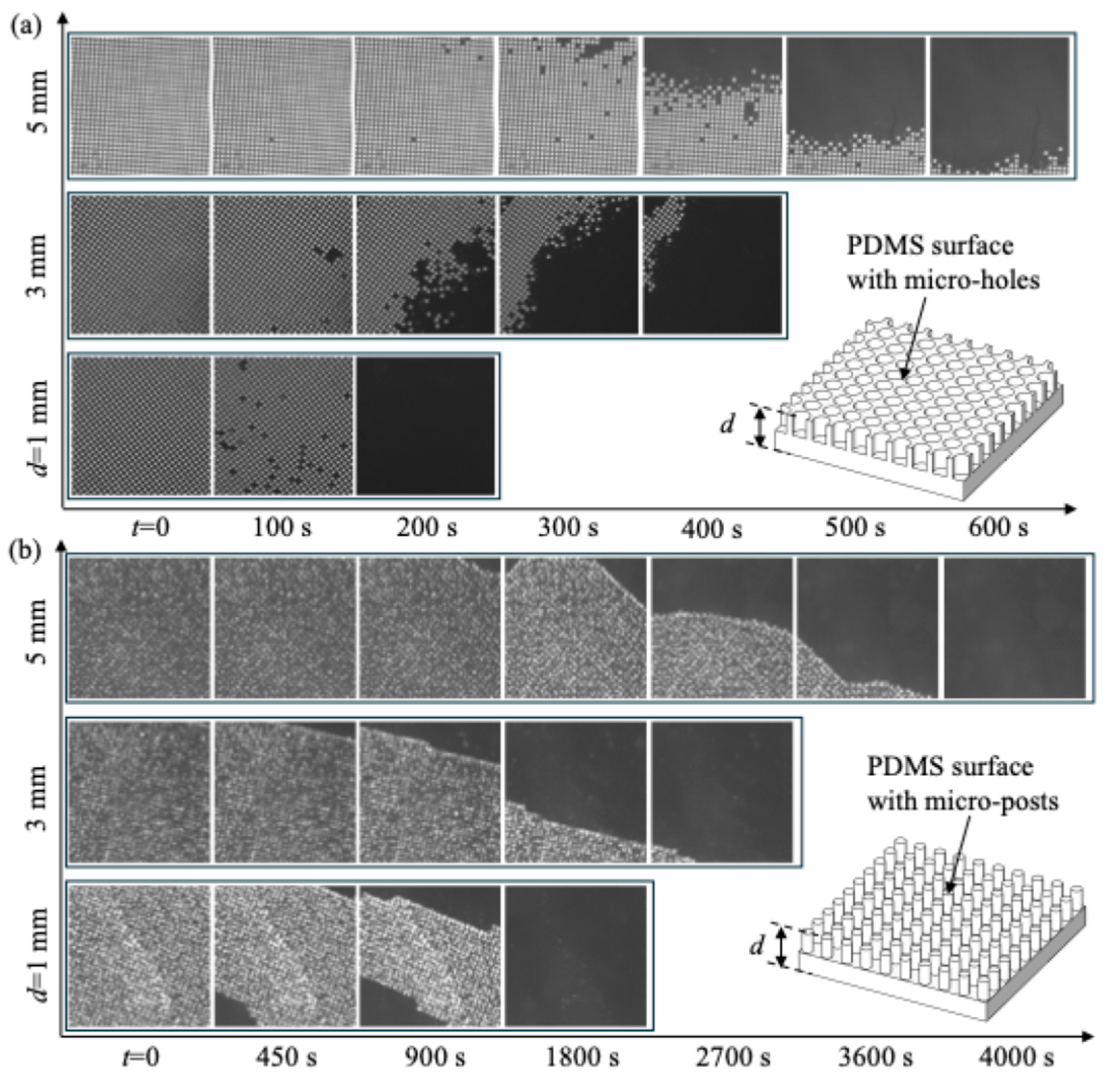 Preprints 142031 g003