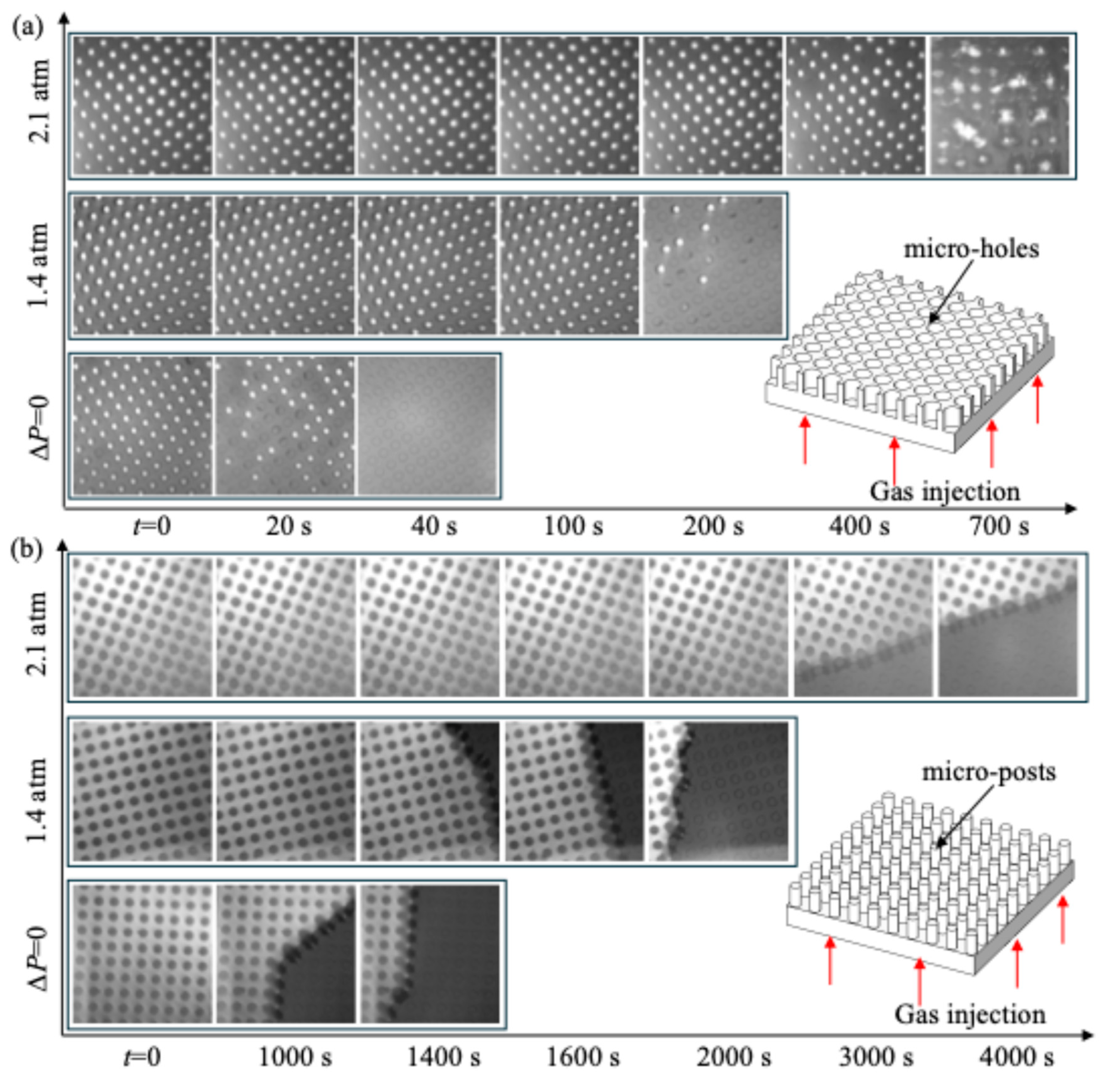 Preprints 142031 g006