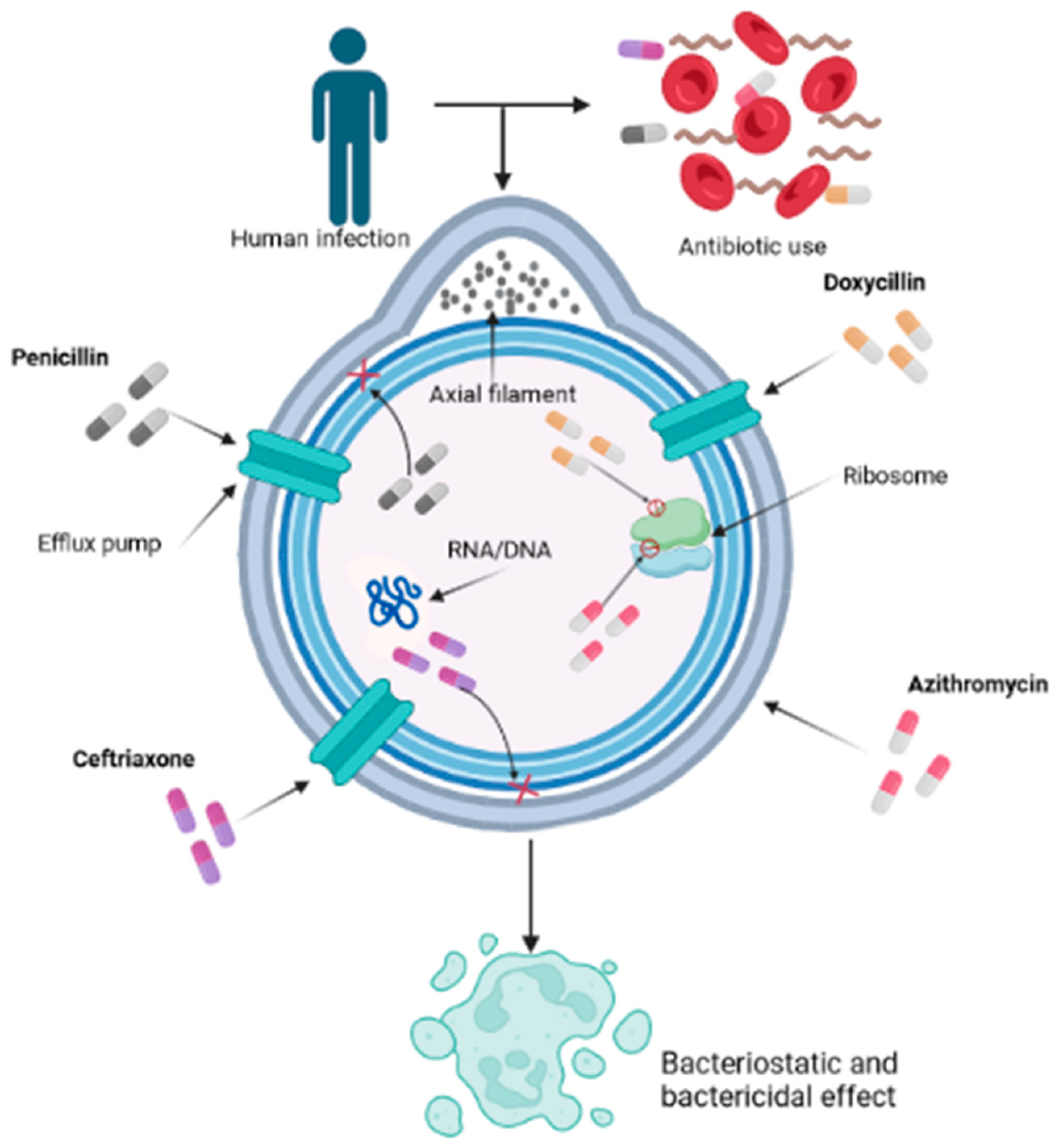 Preprints 83257 g001