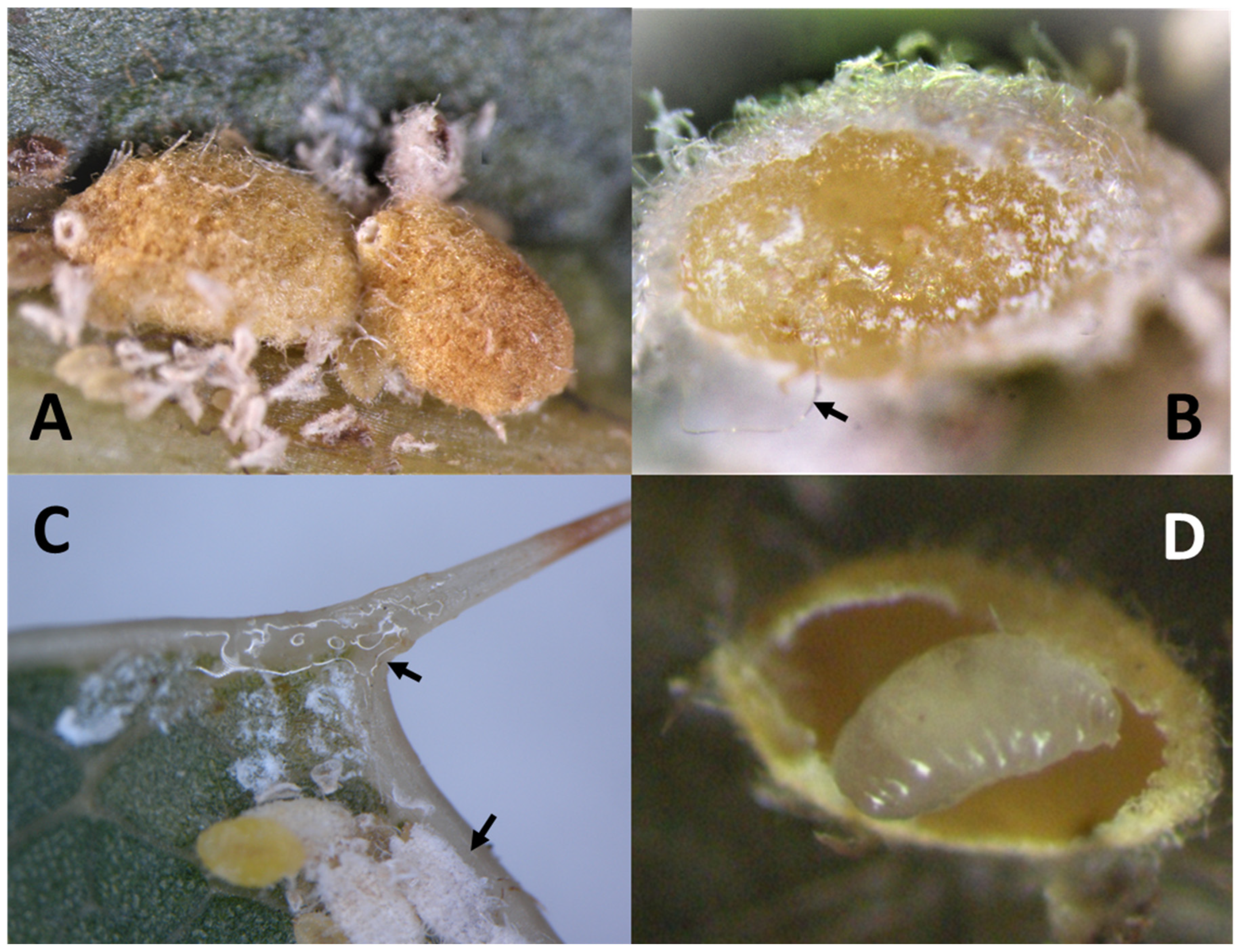 Preprints 83829 g002