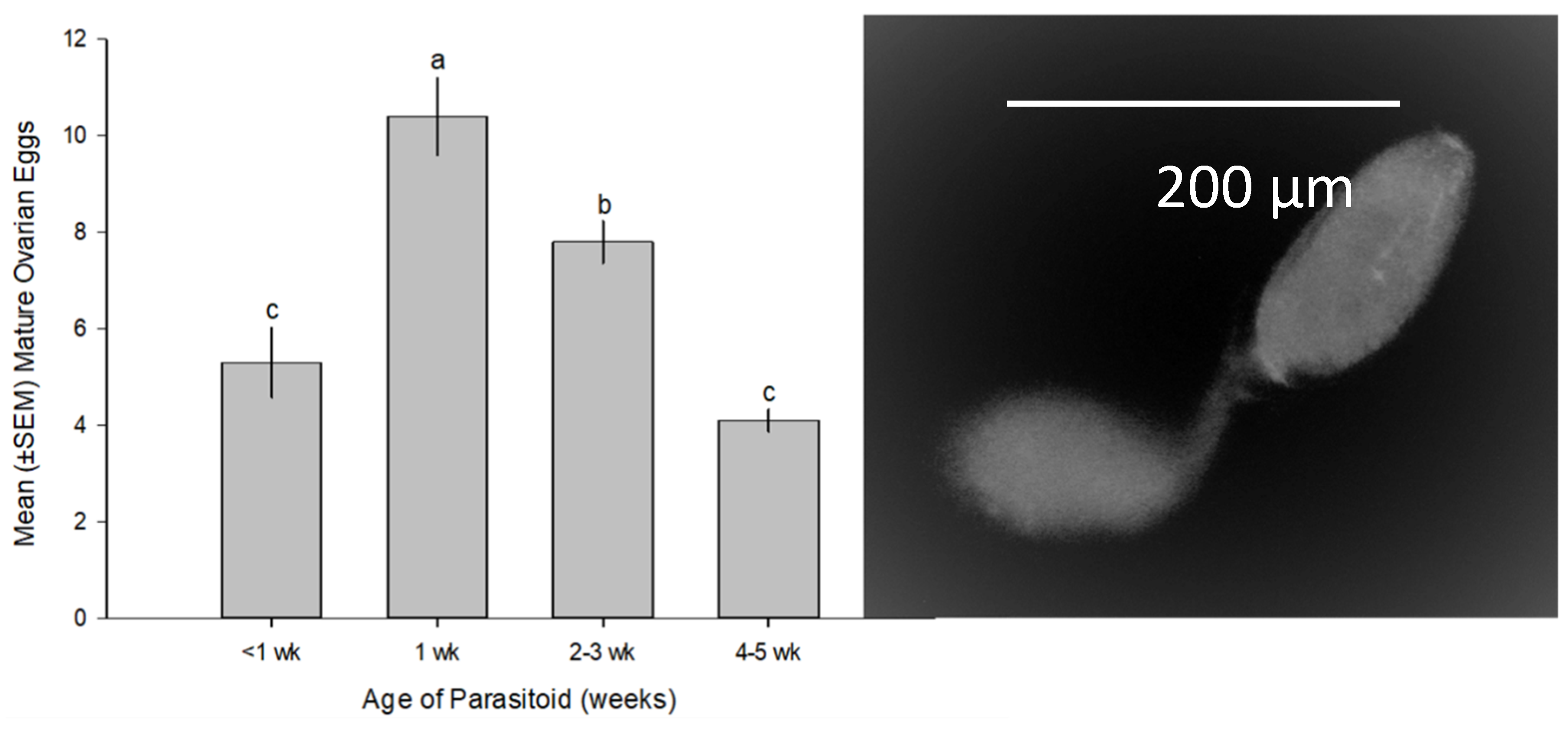Preprints 83829 g004