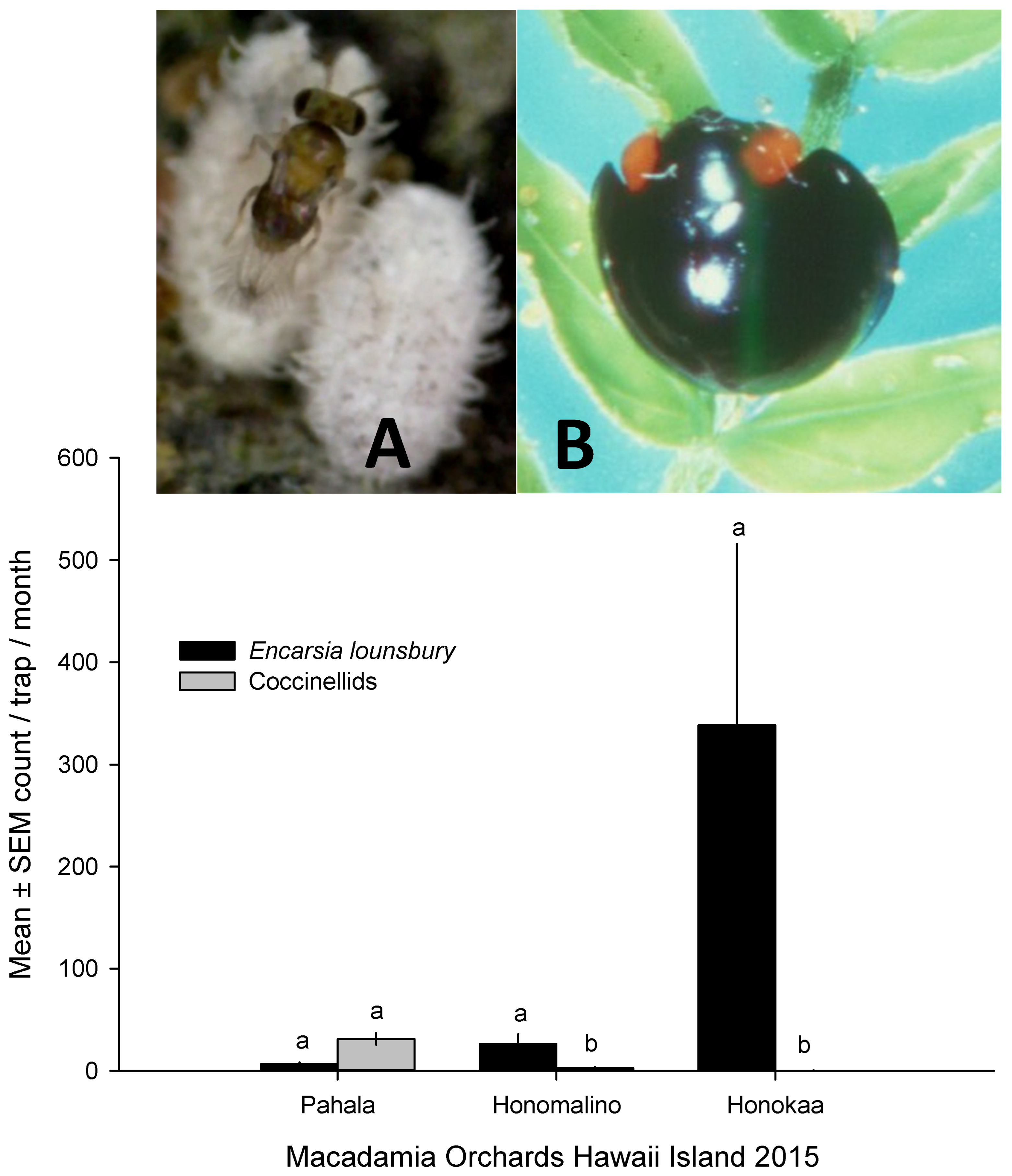 Preprints 83829 g006