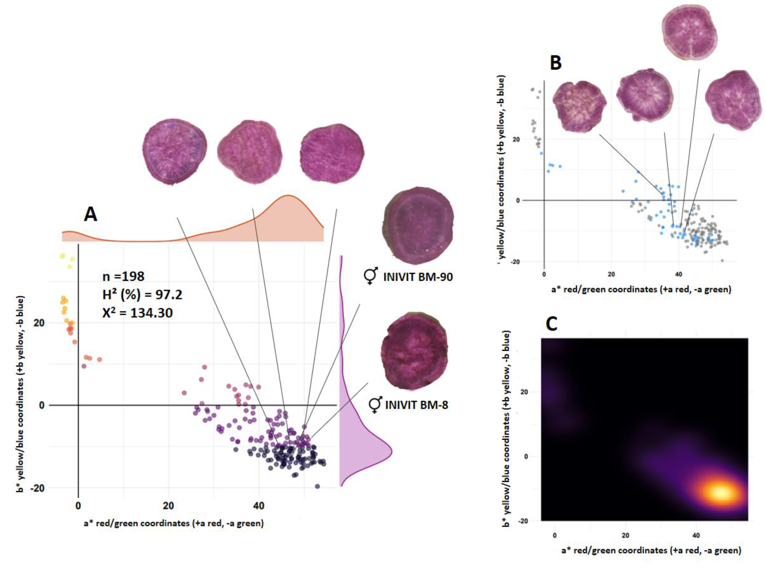 Preprints 115808 g002