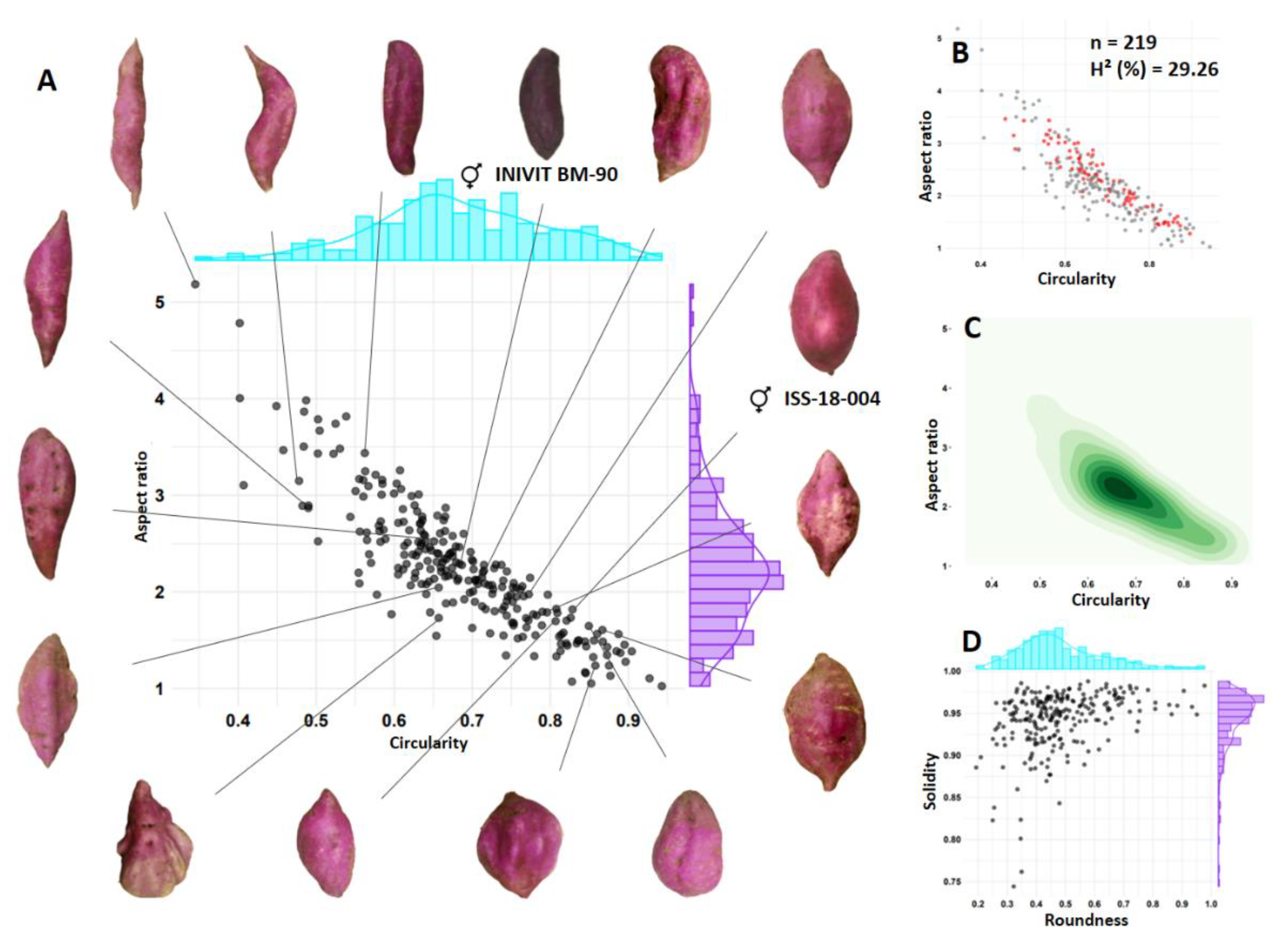 Preprints 115808 g007