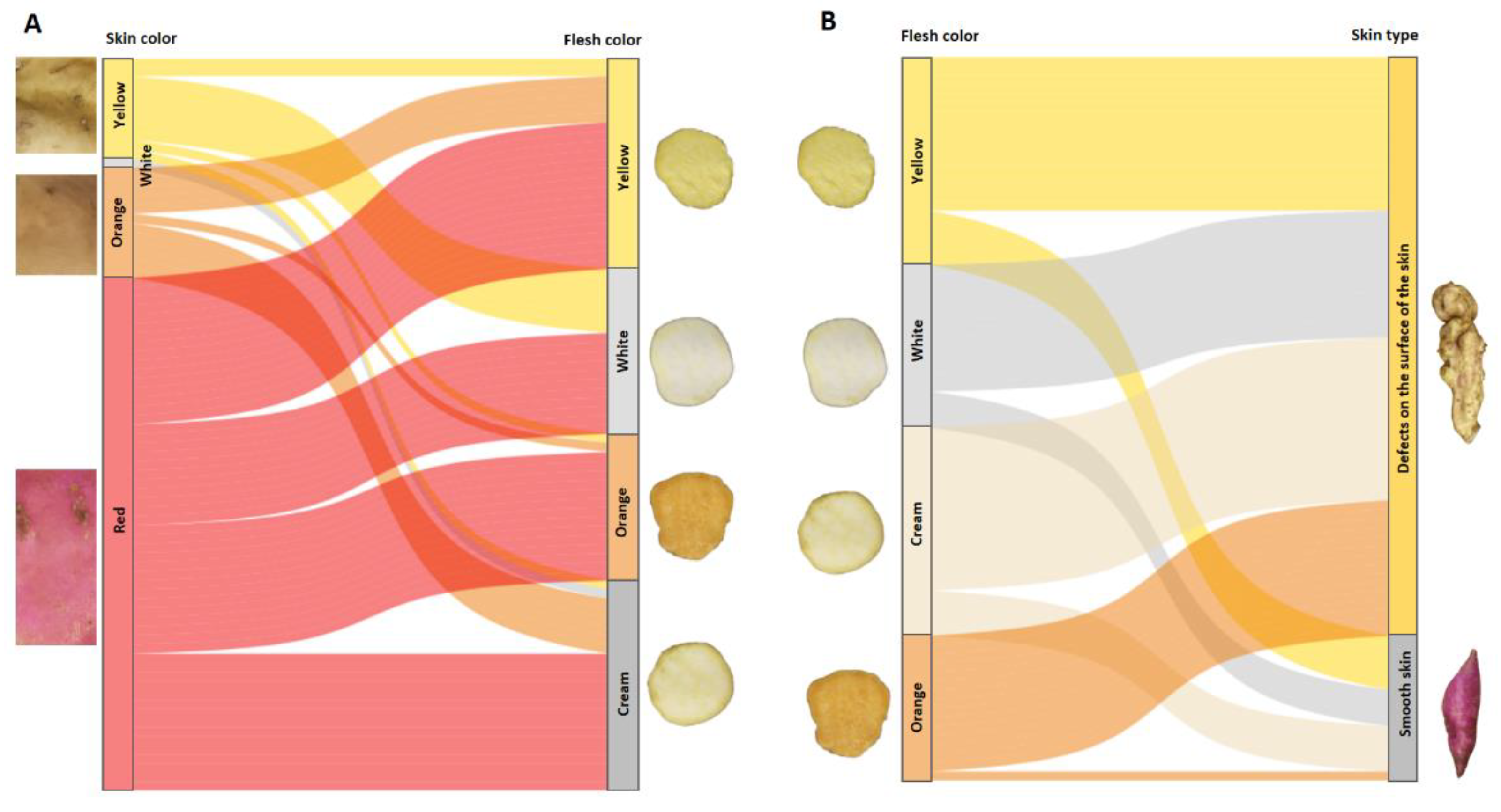 Preprints 115808 g010