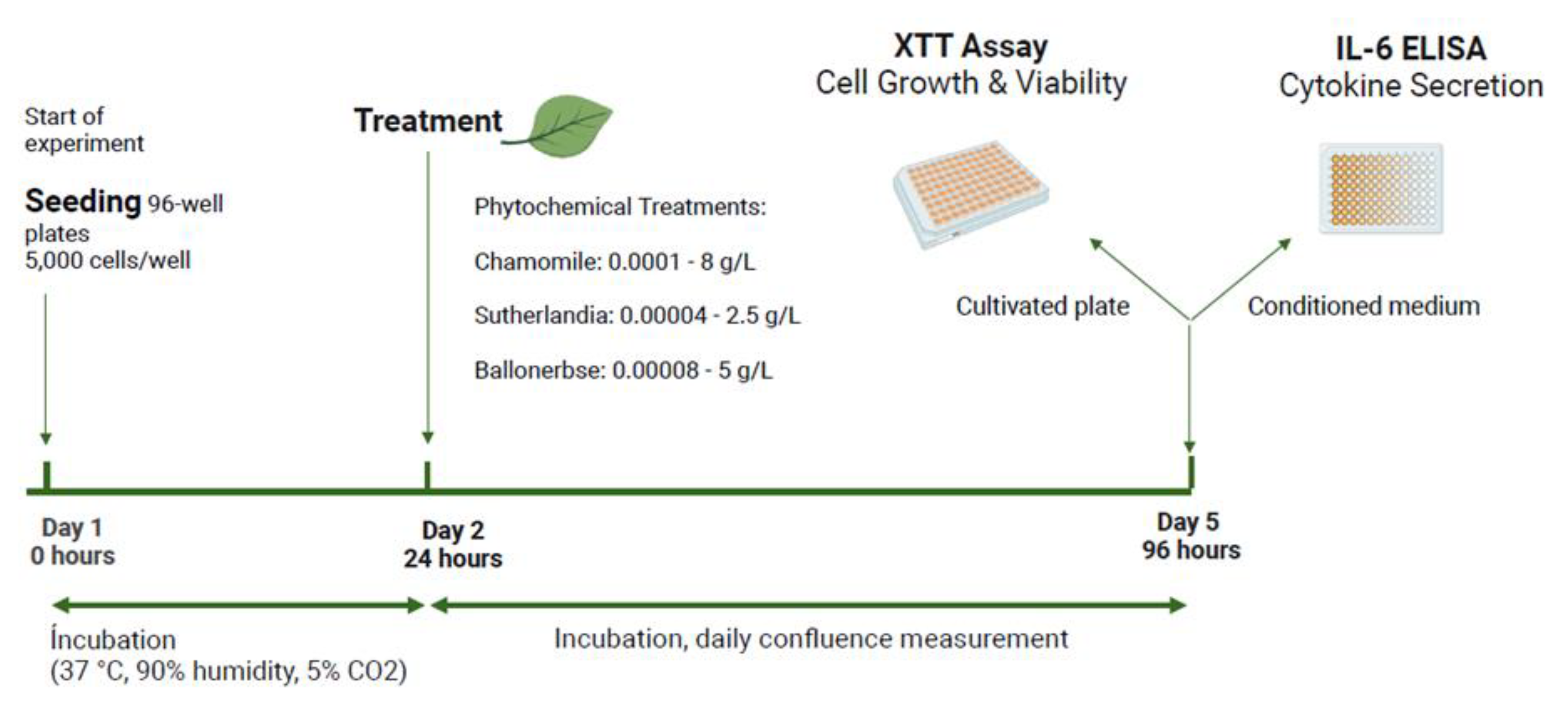 Preprints 168857 g020