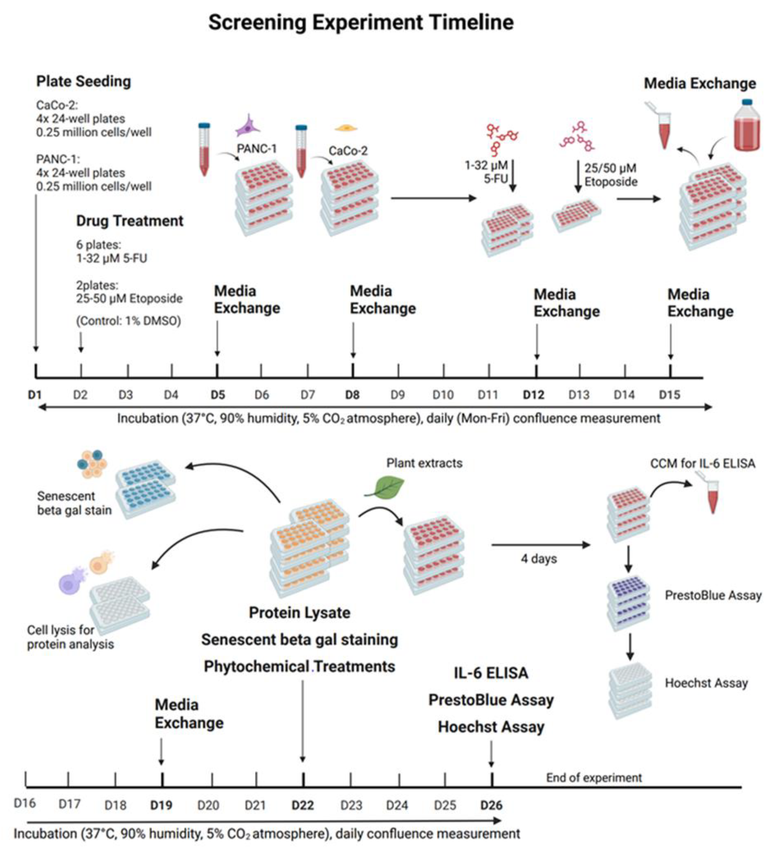 Preprints 168857 g021