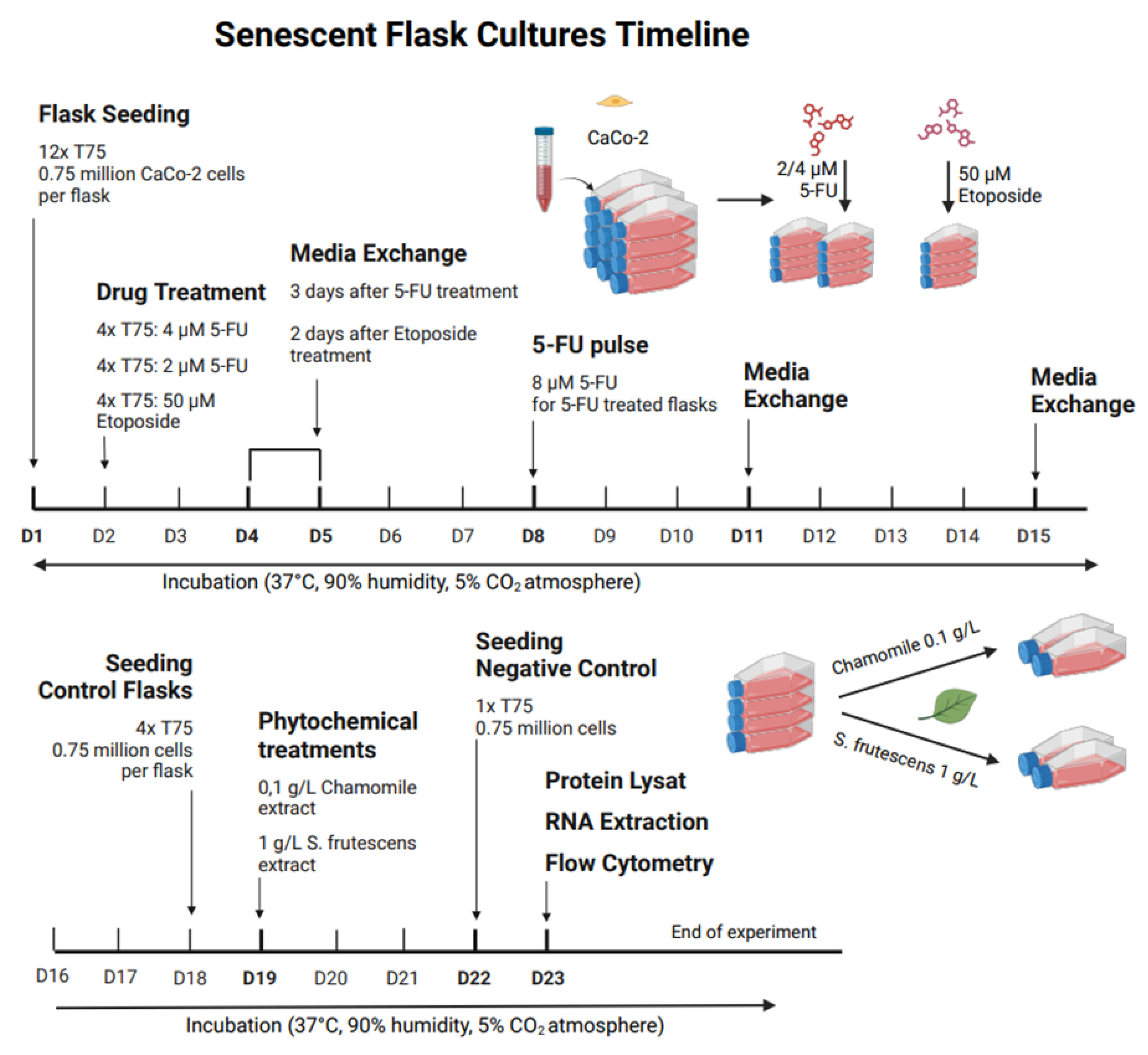 Preprints 168857 g022