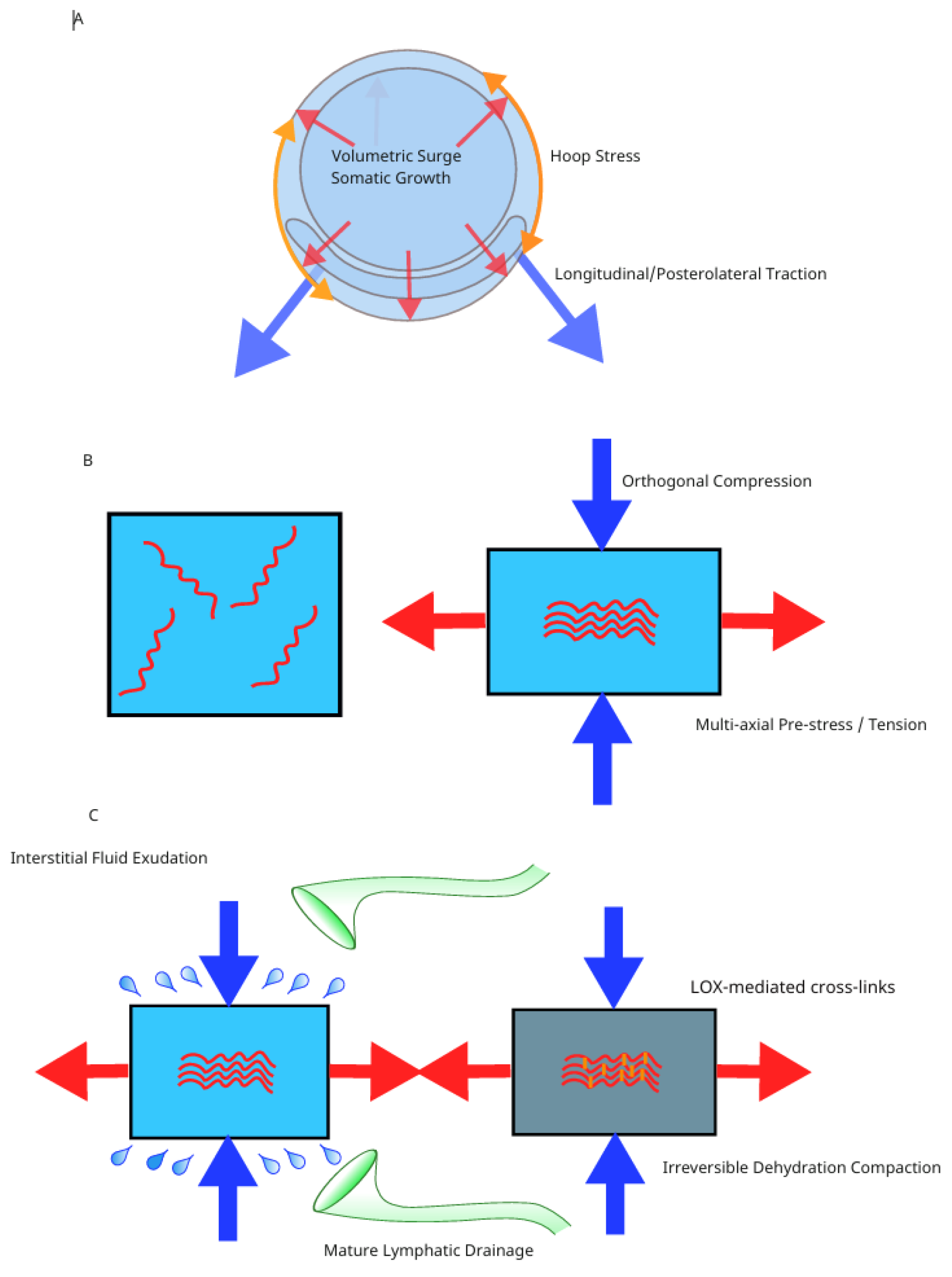 Preprints 204581 g003