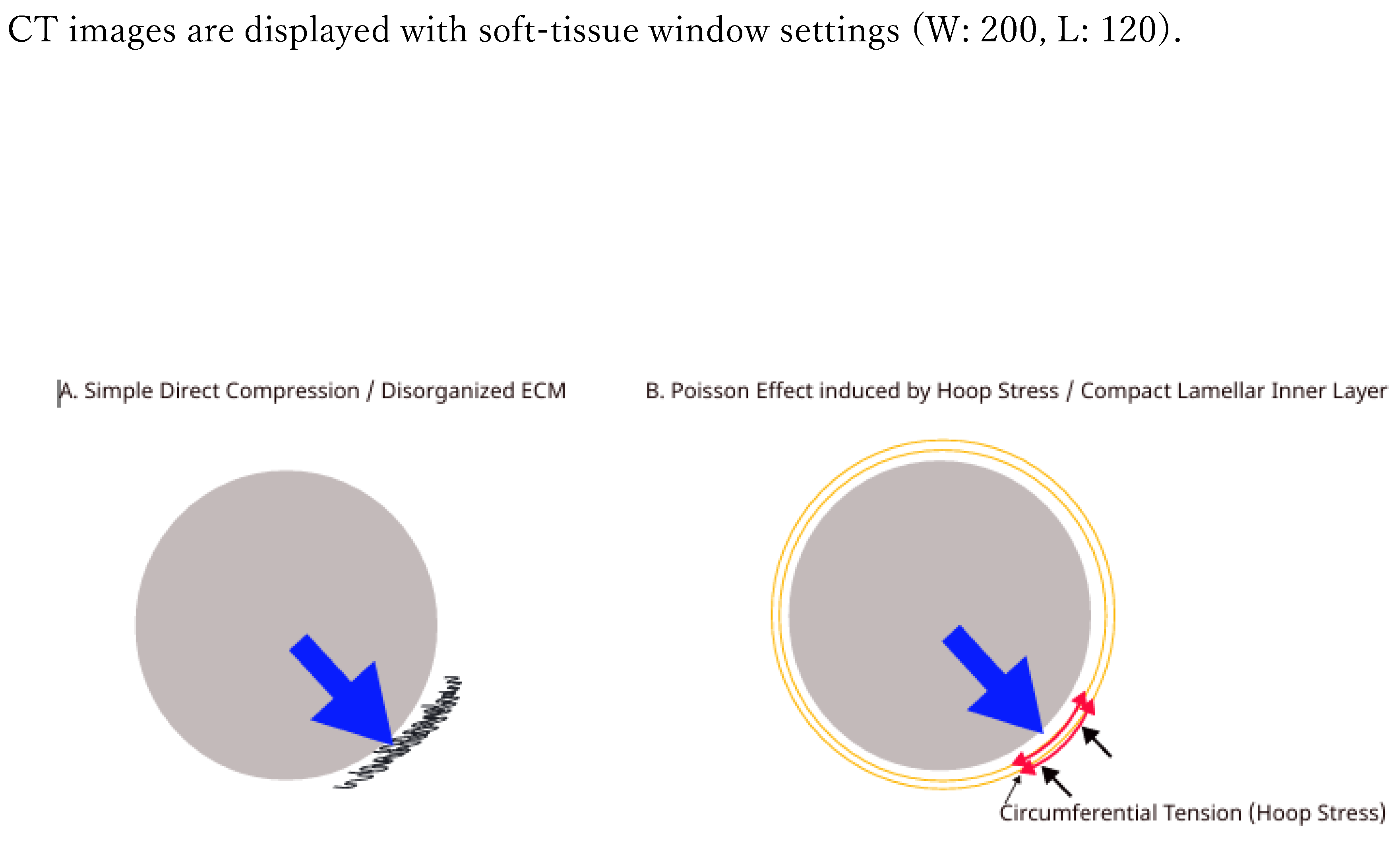 Preprints 204581 g004