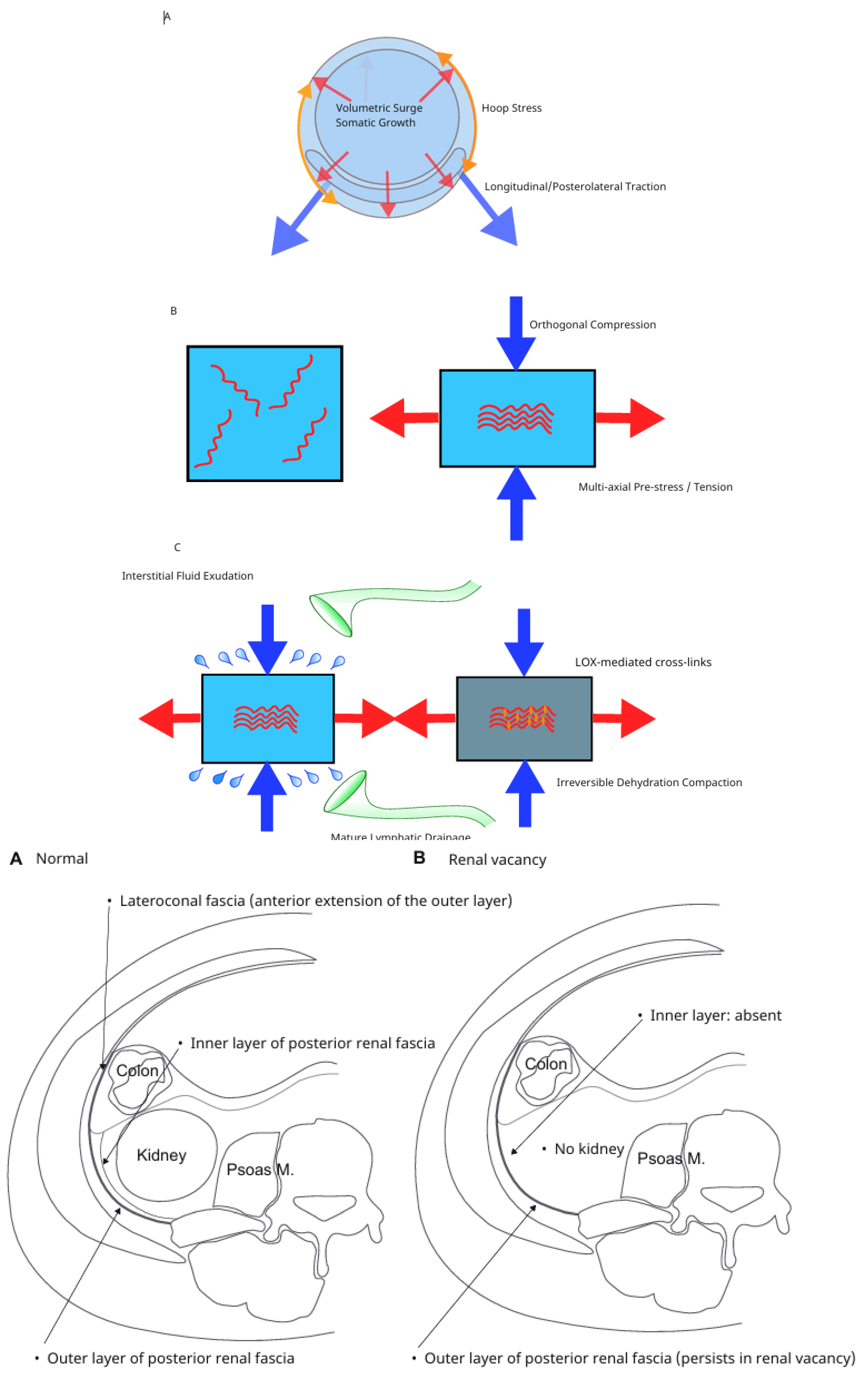 Preprints 204581 g006a