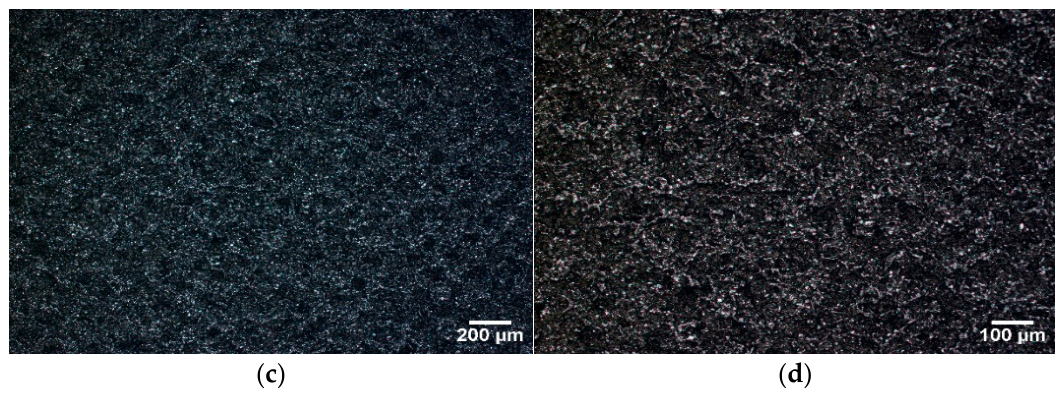Preprints 230670 g004b