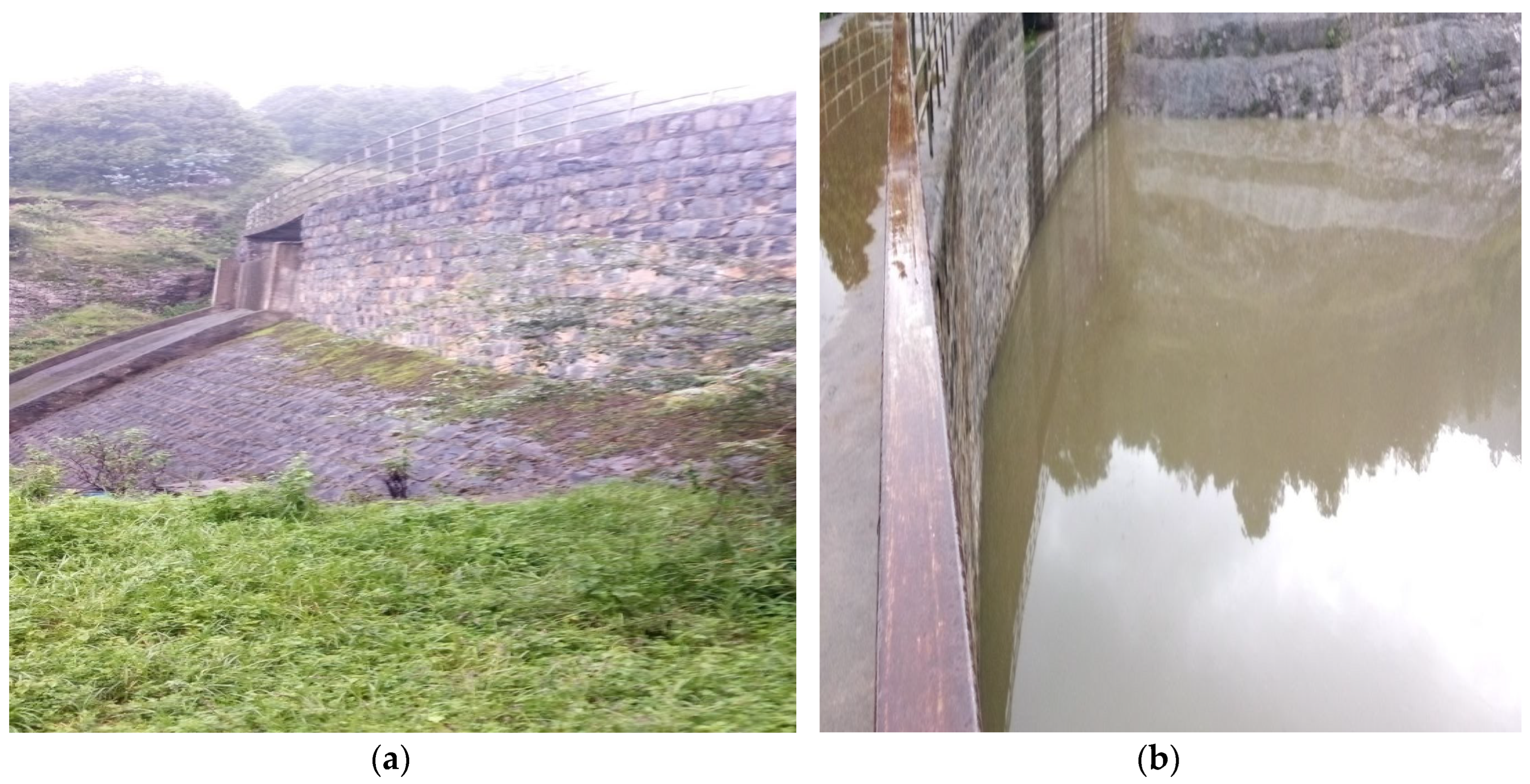 Preprints 116172 g002