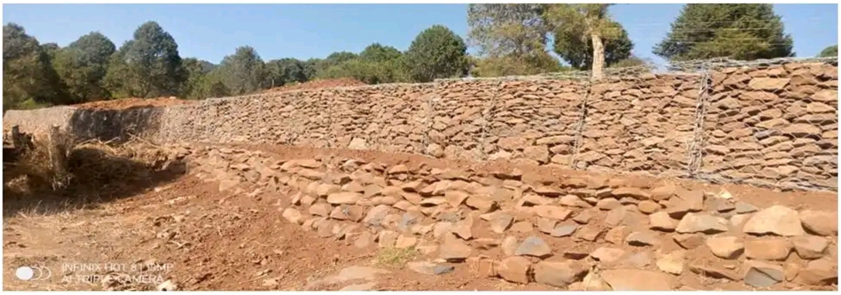 Preprints 116172 g003