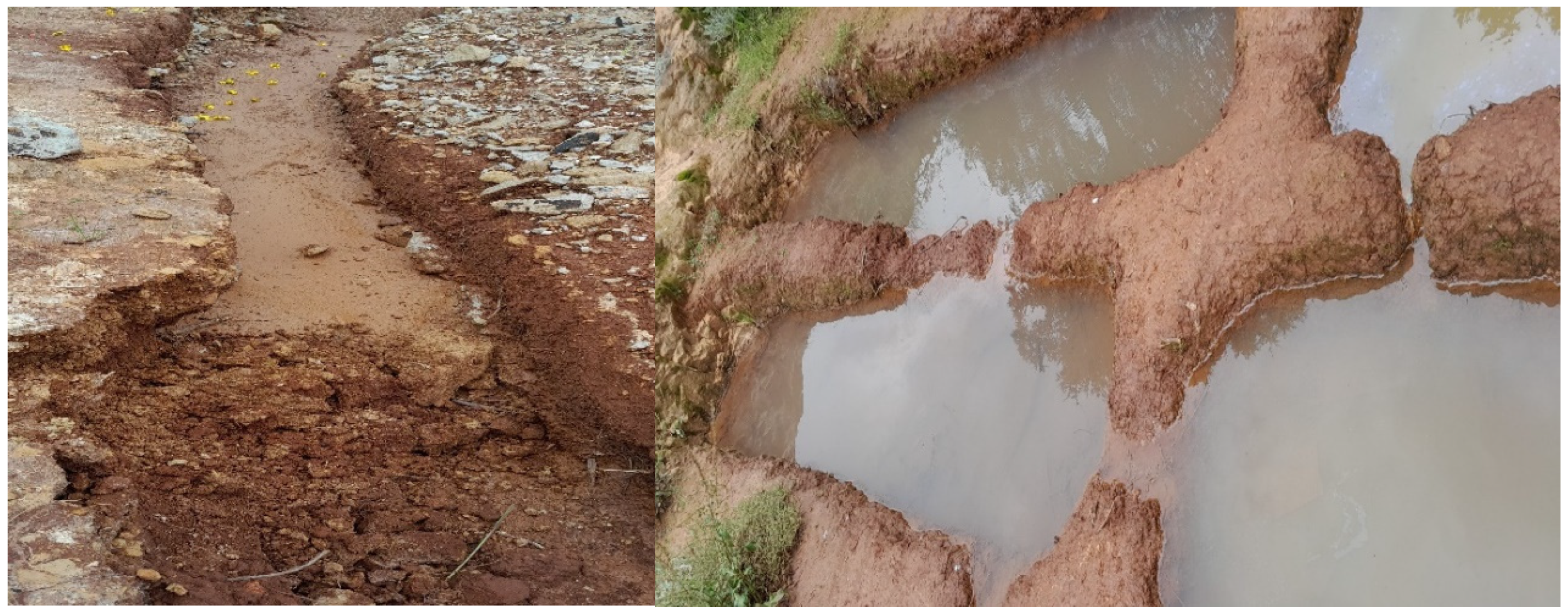 Preprints 116172 g004