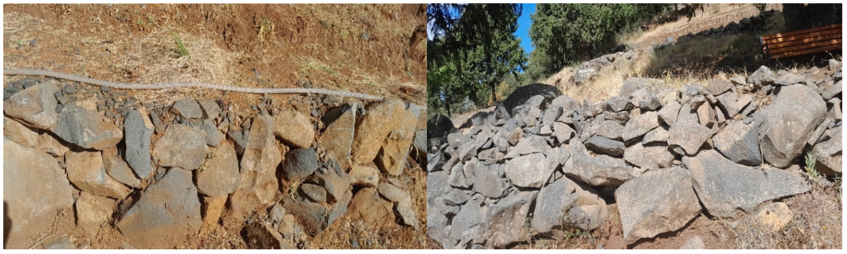 Preprints 116172 g005