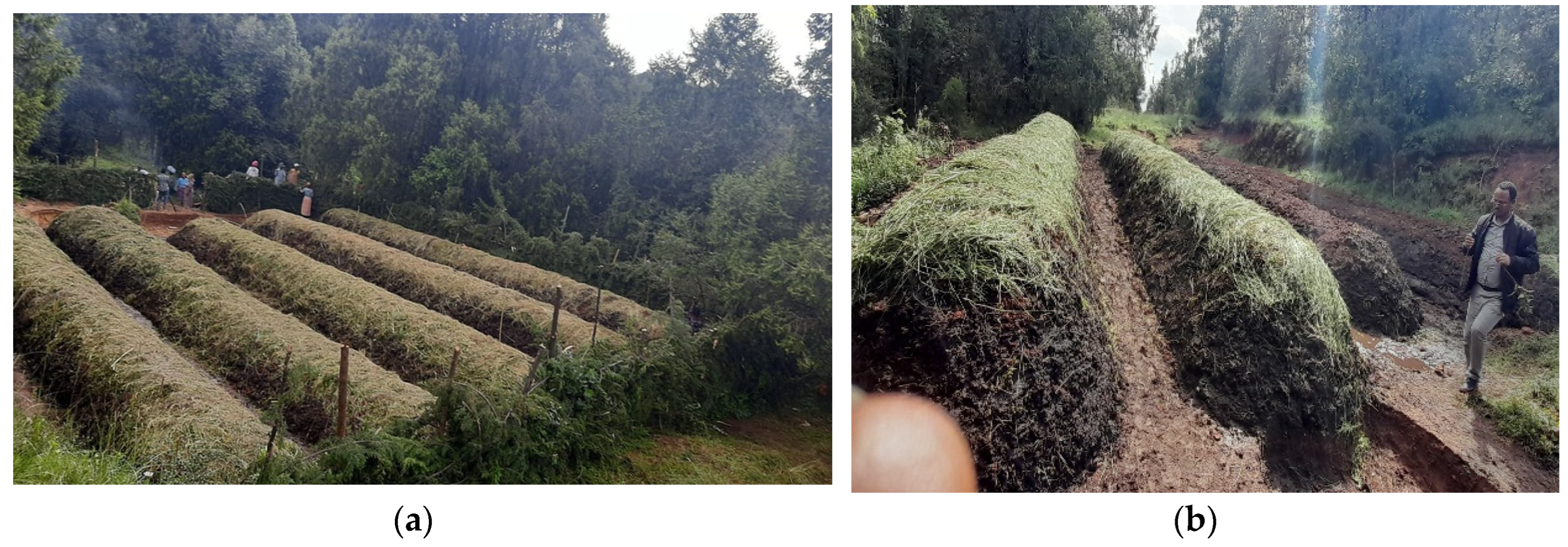 Preprints 116172 g006