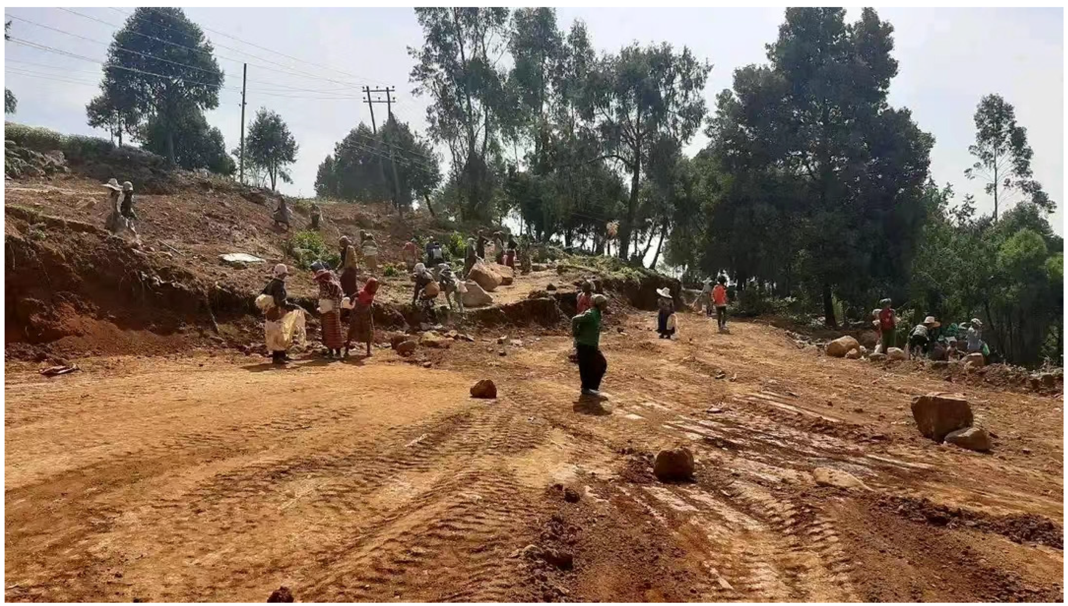 Preprints 116172 g007