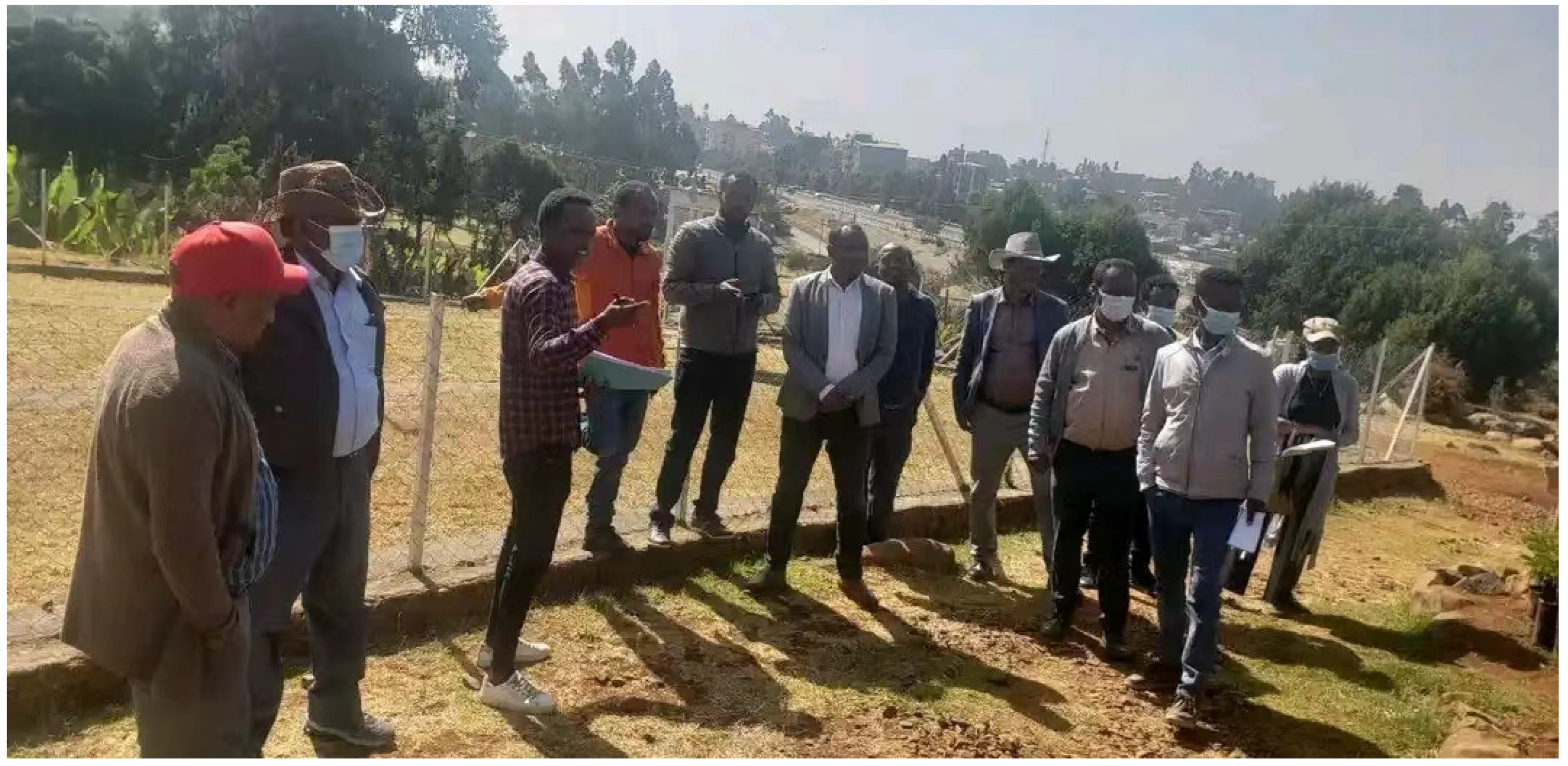 Preprints 116172 g008