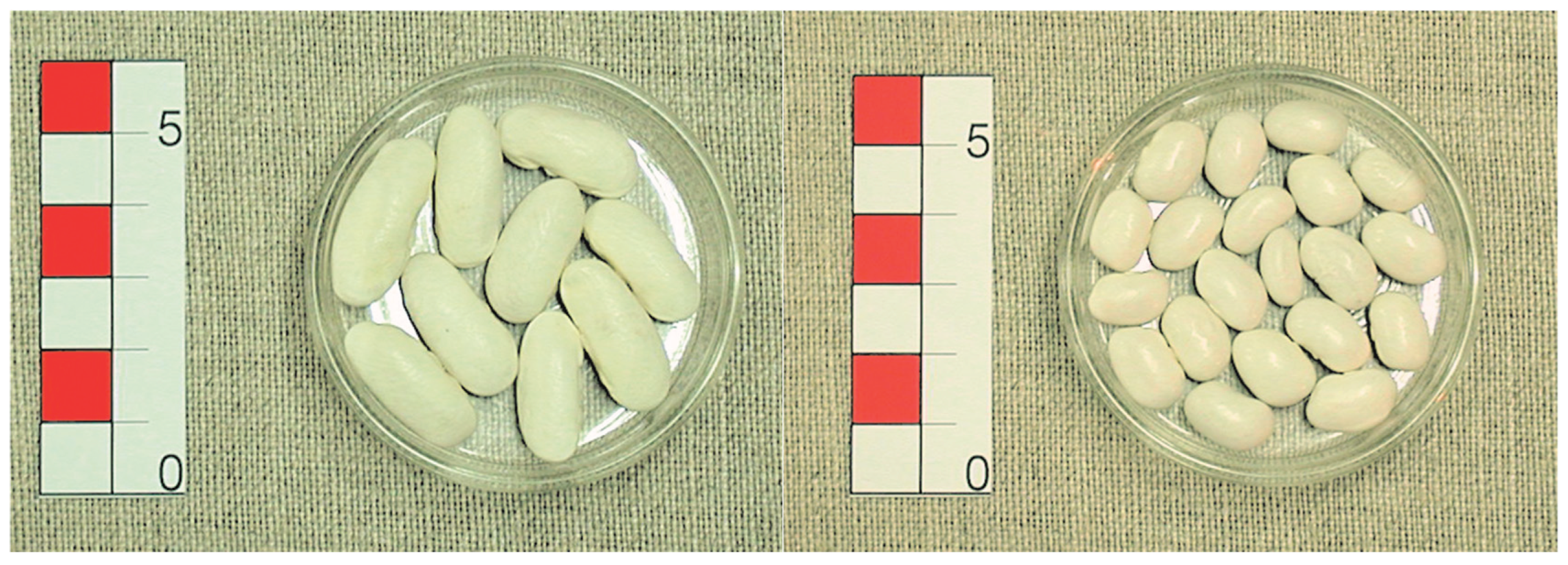 Preprints 160114 g001