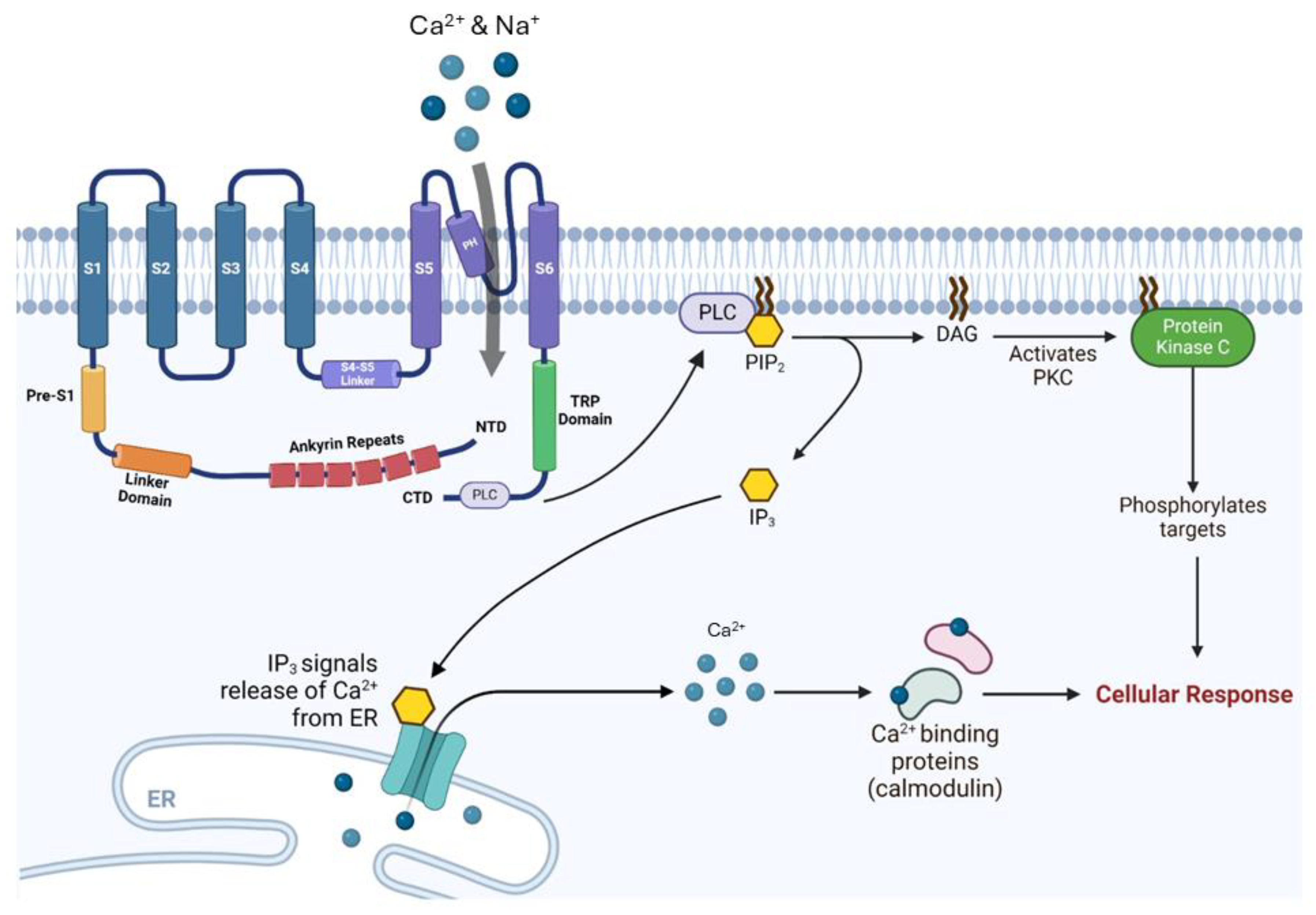 Preprints 176475 g002